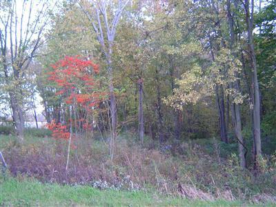 Black Lake Road Dowagiac, MI 49047 - Photo 5 of 12 Additional Photo