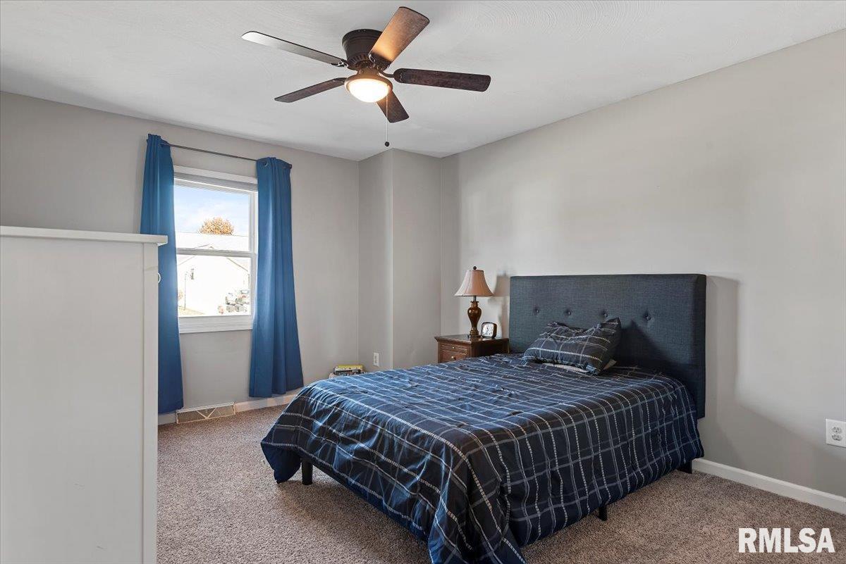 528 Mallard Drive Chatham, IL 62629 - Photo 26 of 51