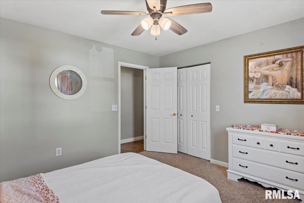 528 Mallard Drive Chatham, IL 62629 - Photo 29 of 51