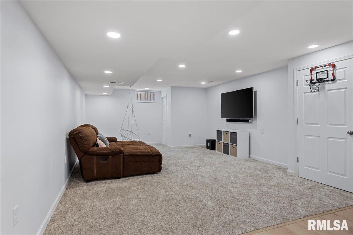 528 Mallard Drive Chatham, IL 62629 - Photo 31 of 51