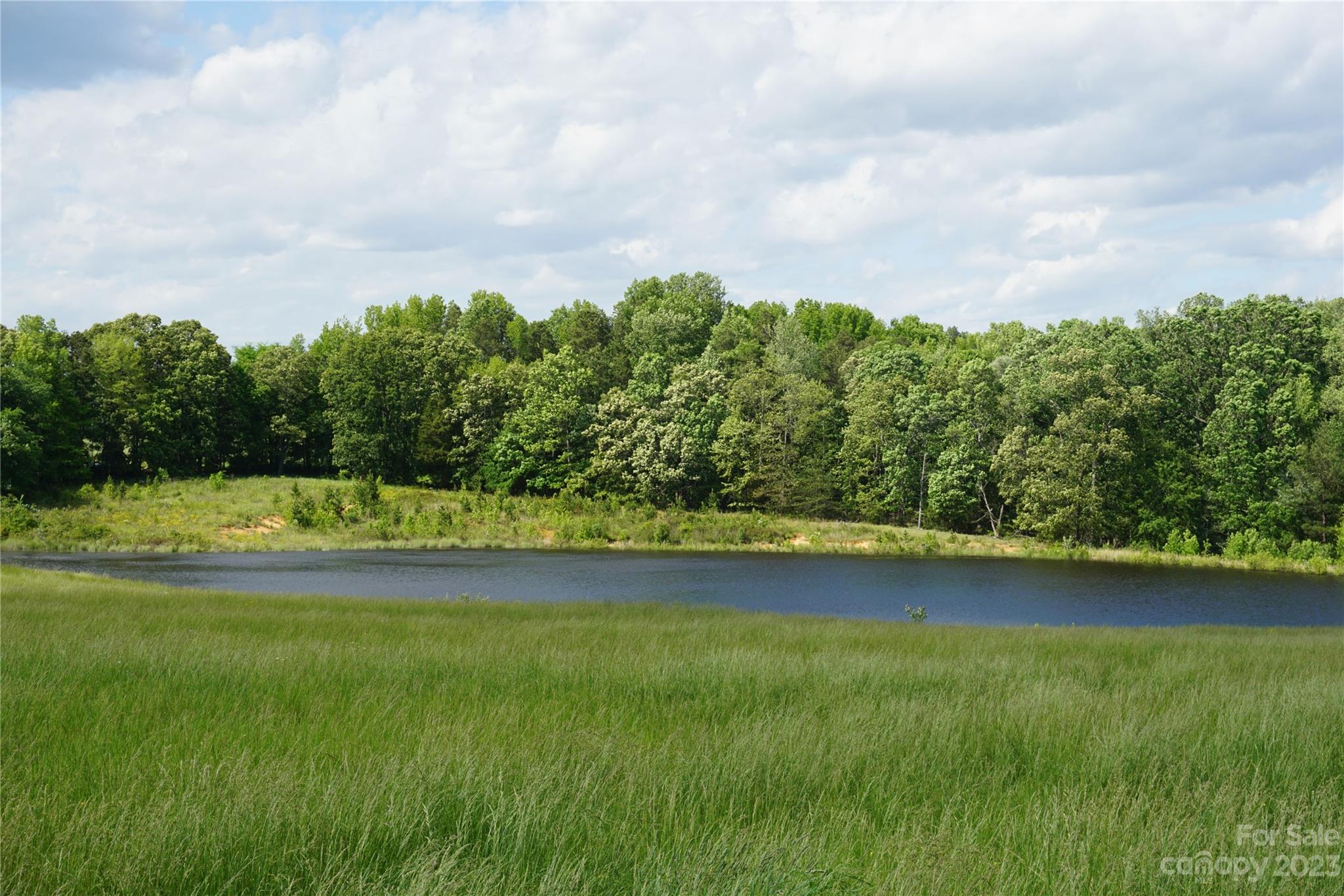 32.88-ac East Old Limestone Road, Unit 1 York, SC 29745 - Photo 1 of 16 Gallery Image 1