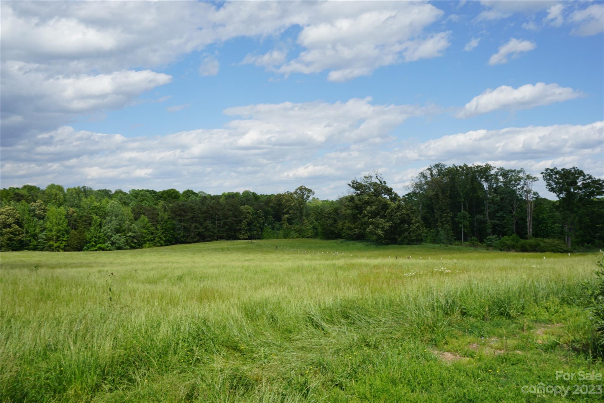 32.88-ac East Old Limestone Road, Unit 1 York, SC 29745 - Photo 11 of 16 Gallery Image 11