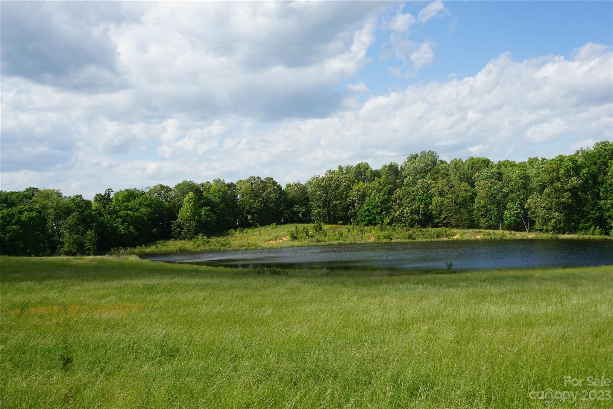 32.88-ac East Old Limestone Road, Unit 1 York, SC 29745 - Photo 12 of 16 Gallery Image 12
