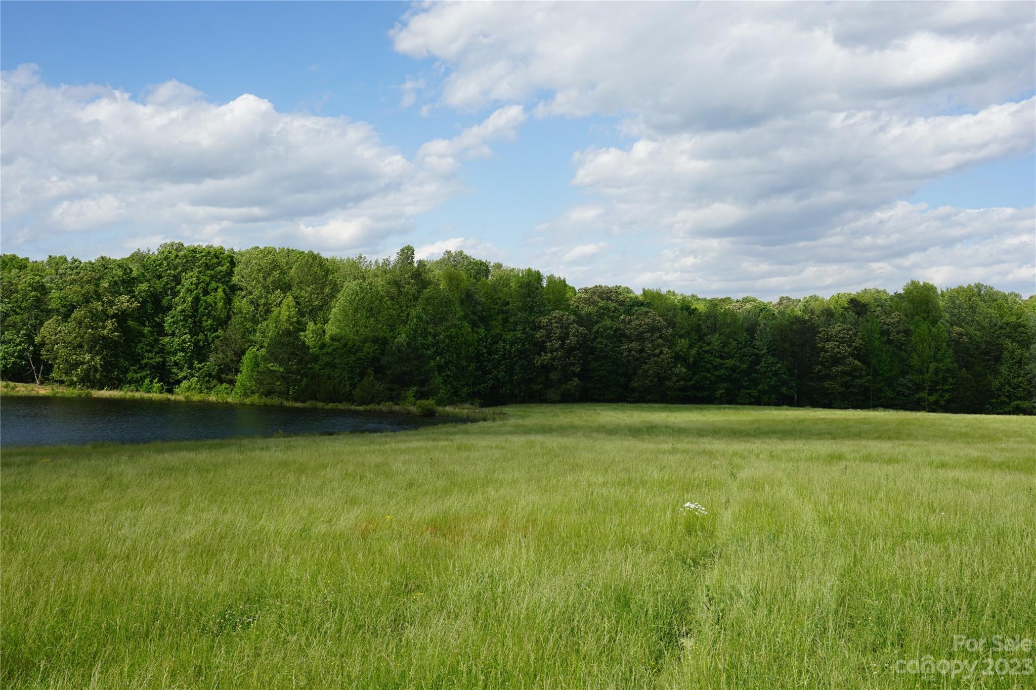 32.88-ac East Old Limestone Road, Unit 1 York, SC 29745 - Photo 13 of 16 Gallery Image 13