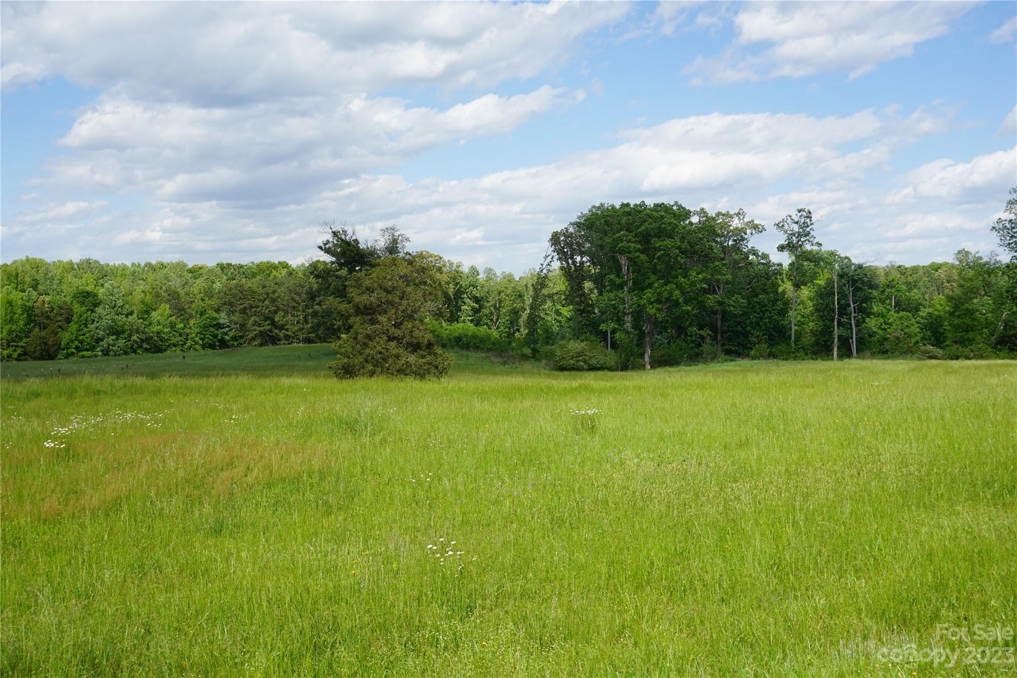 32.88-ac East Old Limestone Road, Unit 1 York, SC 29745 - Photo 15 of 16 Gallery Image 15