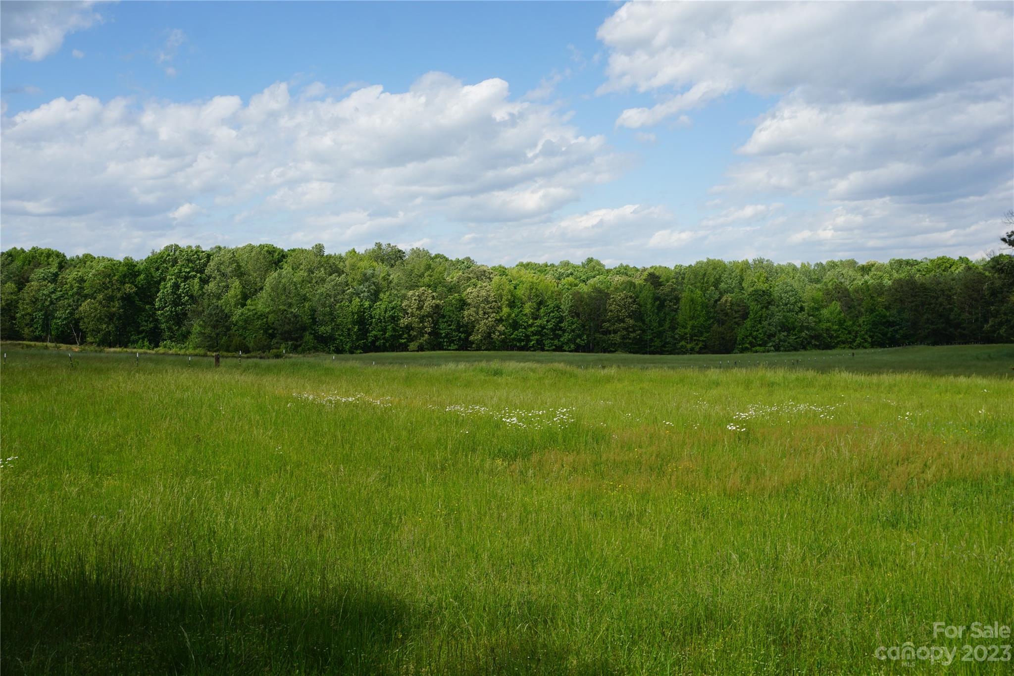 32.88-ac East Old Limestone Road, Unit 1 York, SC 29745 - Photo 2 of 16 Gallery Image 2