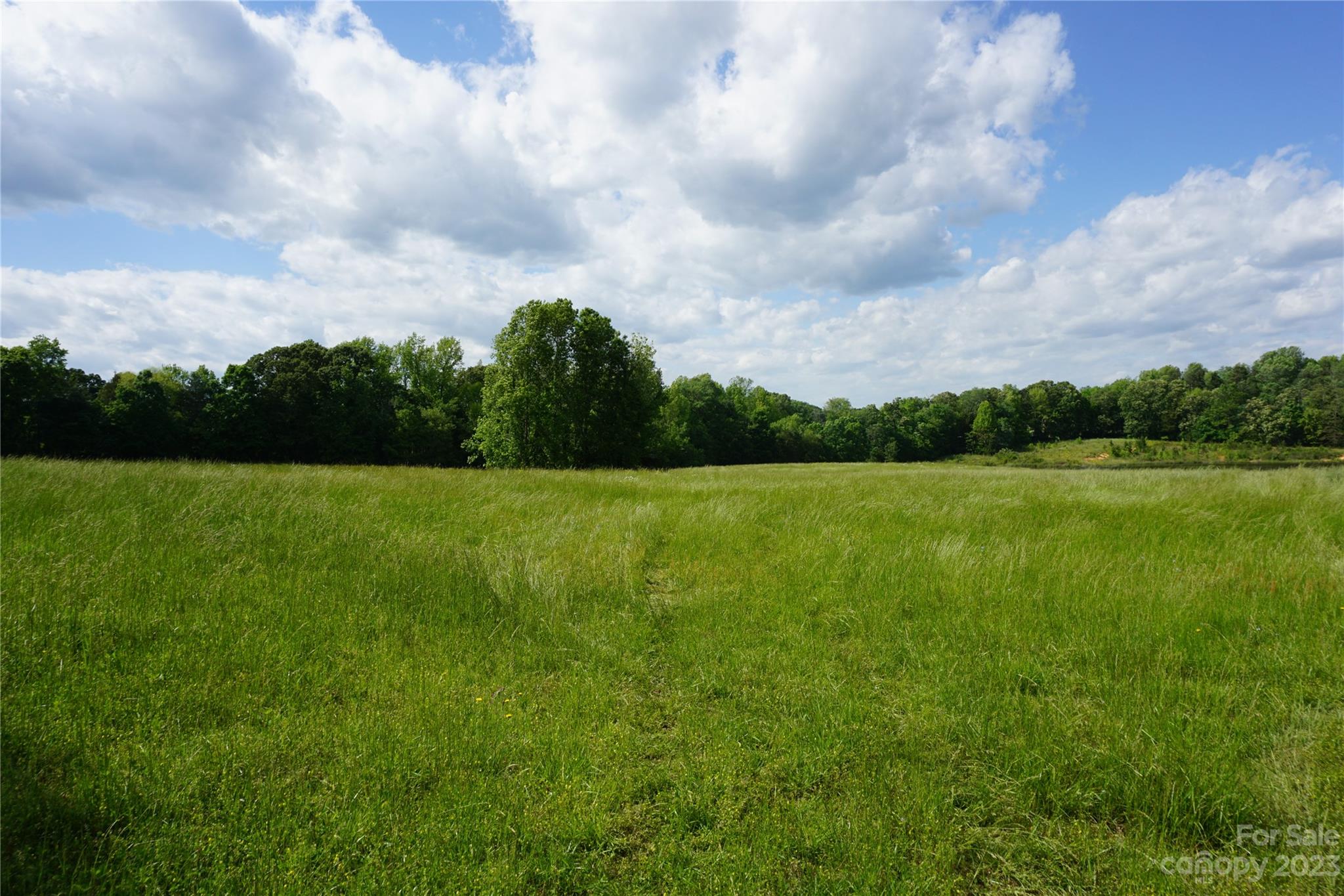 32.88-ac East Old Limestone Road, Unit 1 York, SC 29745 - Photo 3 of 16 Gallery Image 3