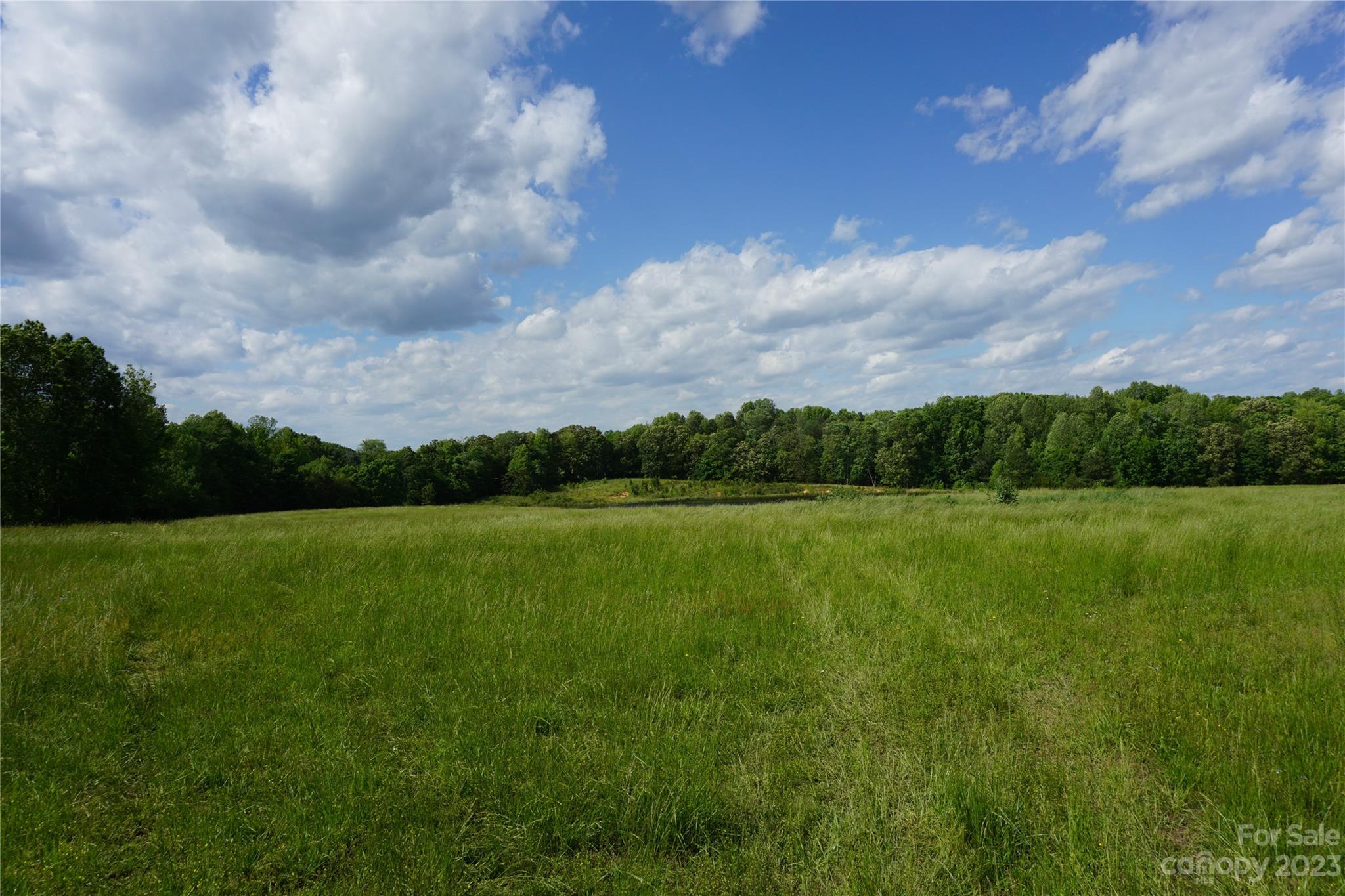 32.88-ac East Old Limestone Road, Unit 1 York, SC 29745 - Photo 4 of 16 Gallery Image 4