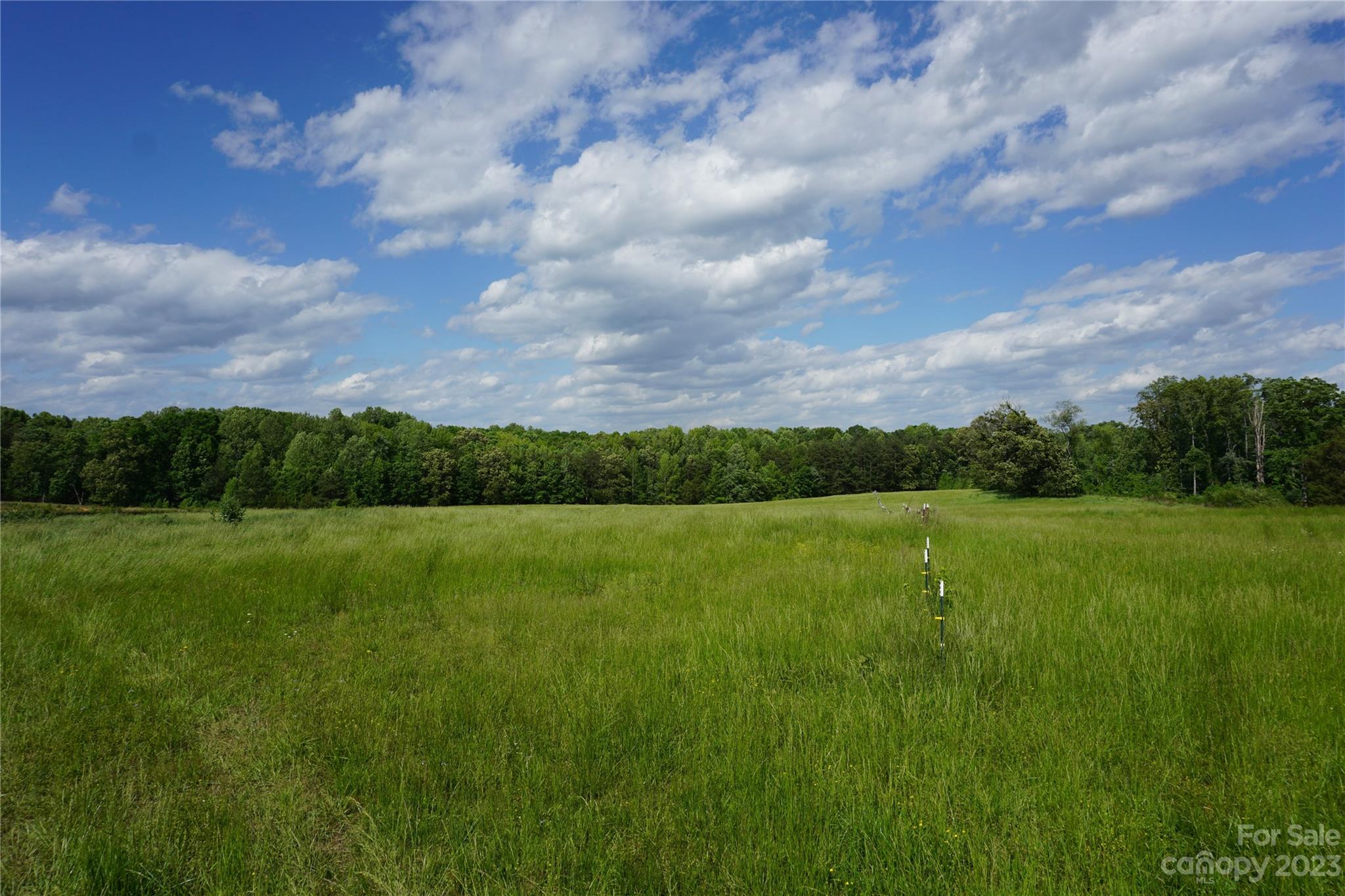 32.88-ac East Old Limestone Road, Unit 1 York, SC 29745 - Photo 5 of 16 Gallery Image 5