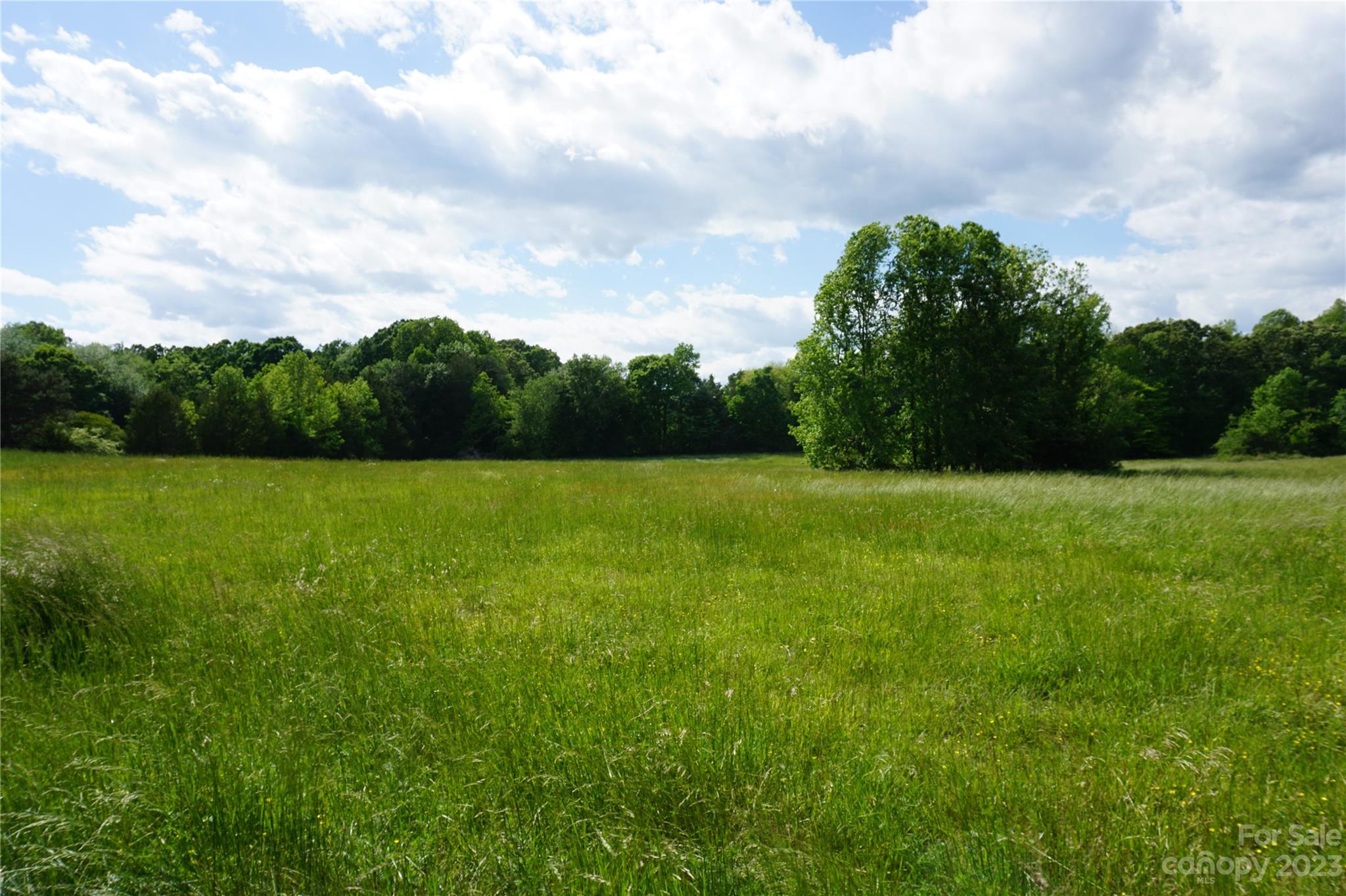 32.88-ac East Old Limestone Road, Unit 1 York, SC 29745 - Photo 7 of 16 Gallery Image 7