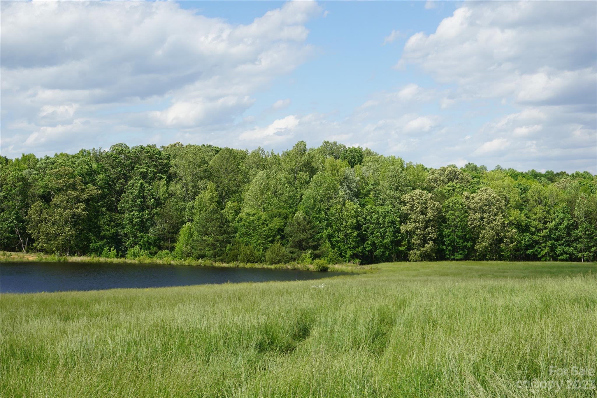 32.88-ac East Old Limestone Road, Unit 1 York, SC 29745 - Photo 8 of 16 Gallery Image 8