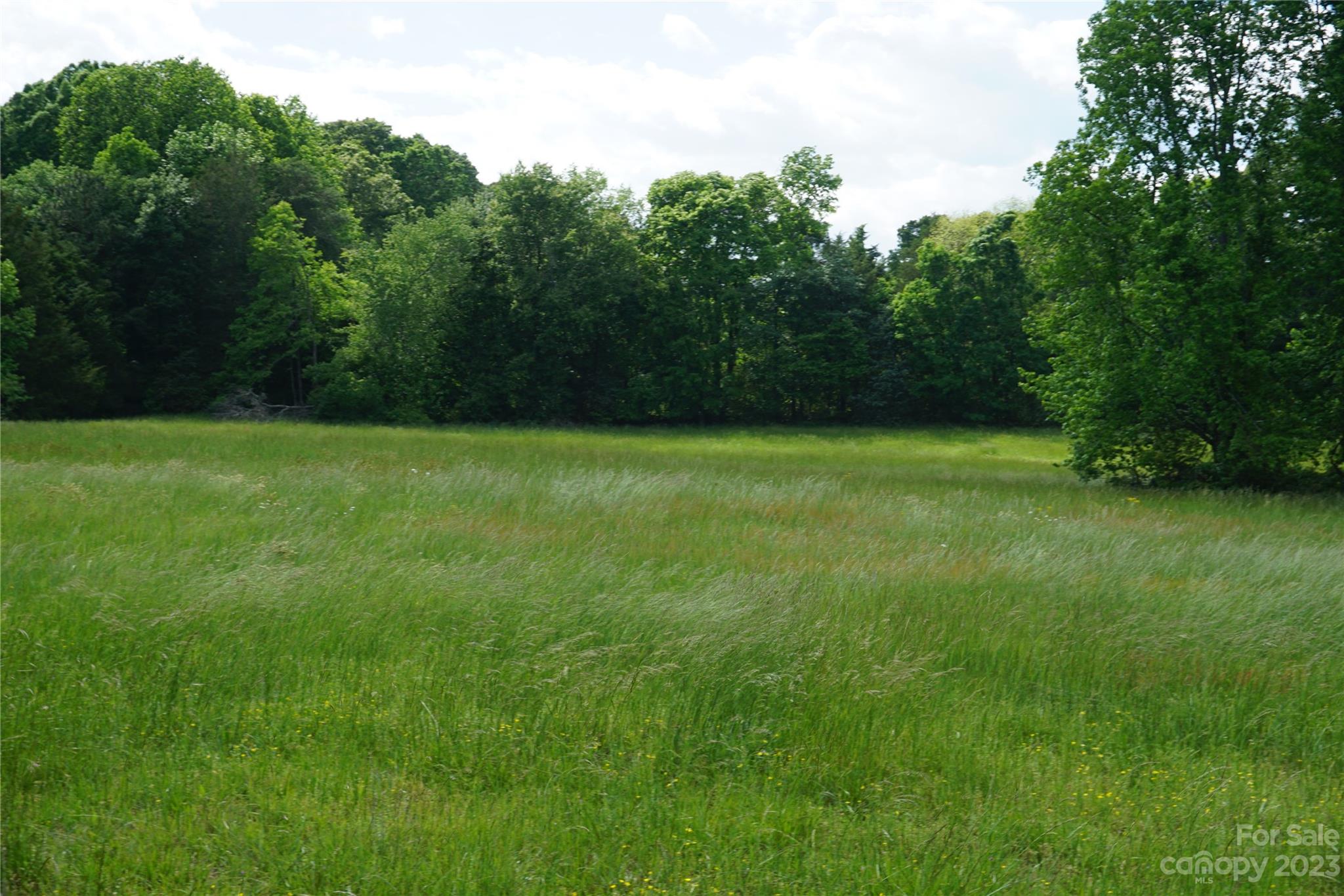 32.88-ac East Old Limestone Road, Unit 1 York, SC 29745 - Photo 9 of 16 Gallery Image 9