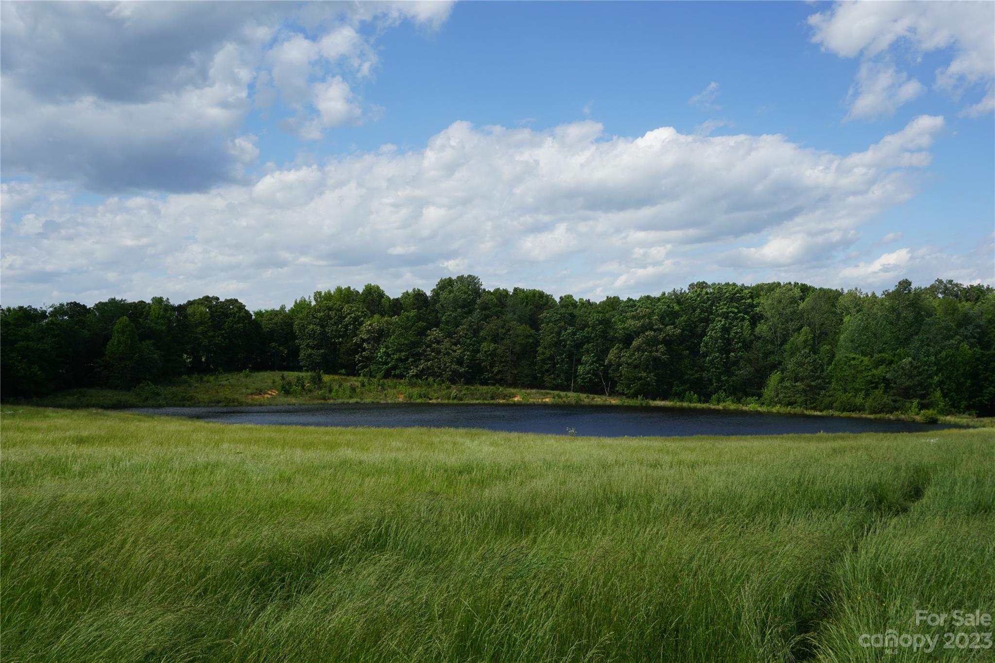 32.88-ac East Old Limestone Road, Unit 1 York, SC 29745 - Photo 10 of 16 Gallery Image 10