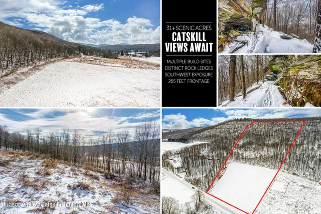 $120,000 | 0 Betty Brook Road, South Kortright, NY 13842