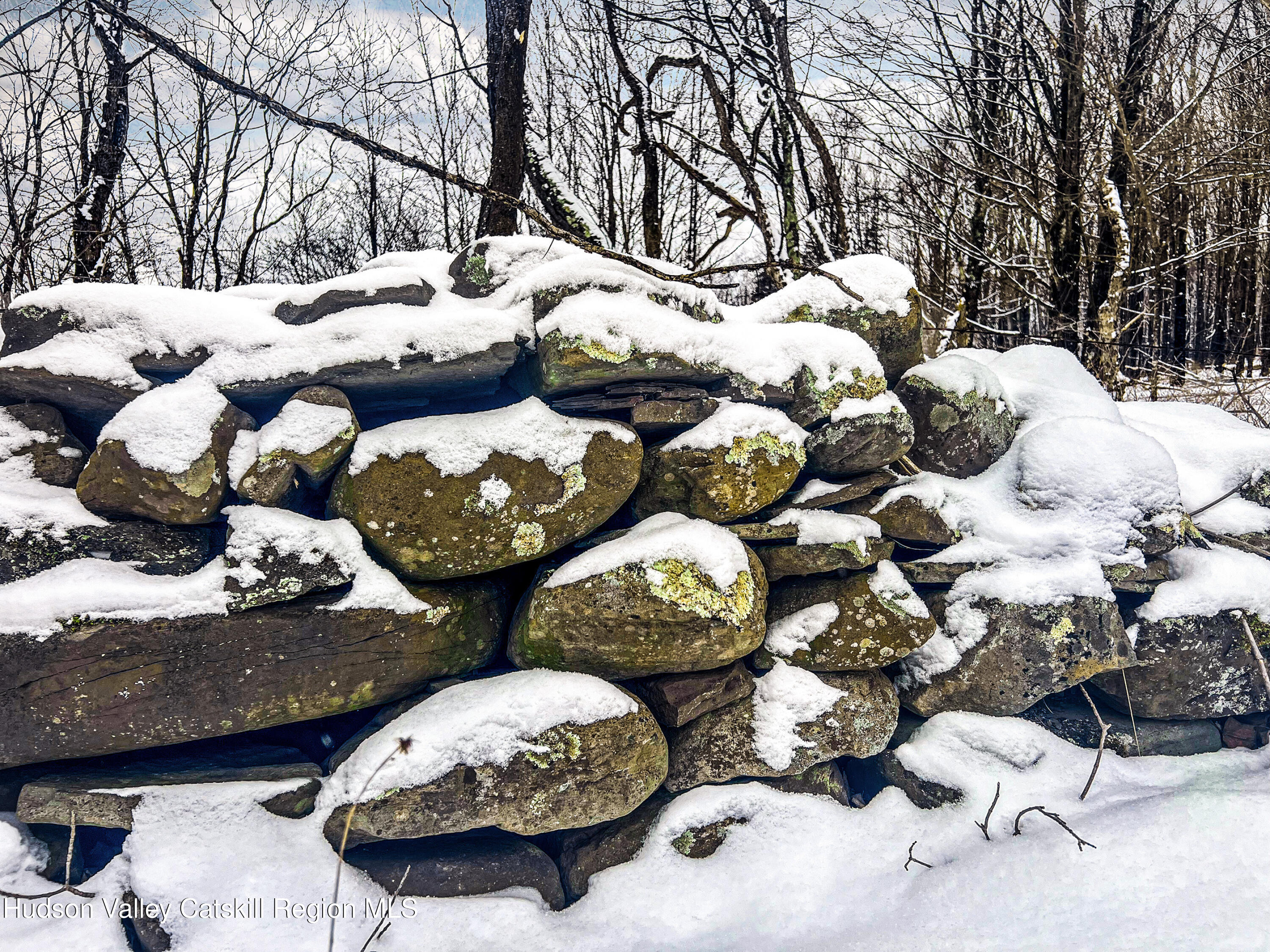 0 Betty Brook Road South Kortright, NY 13842 - Photo 11 of 30 IMG_0561-Edit-ALT