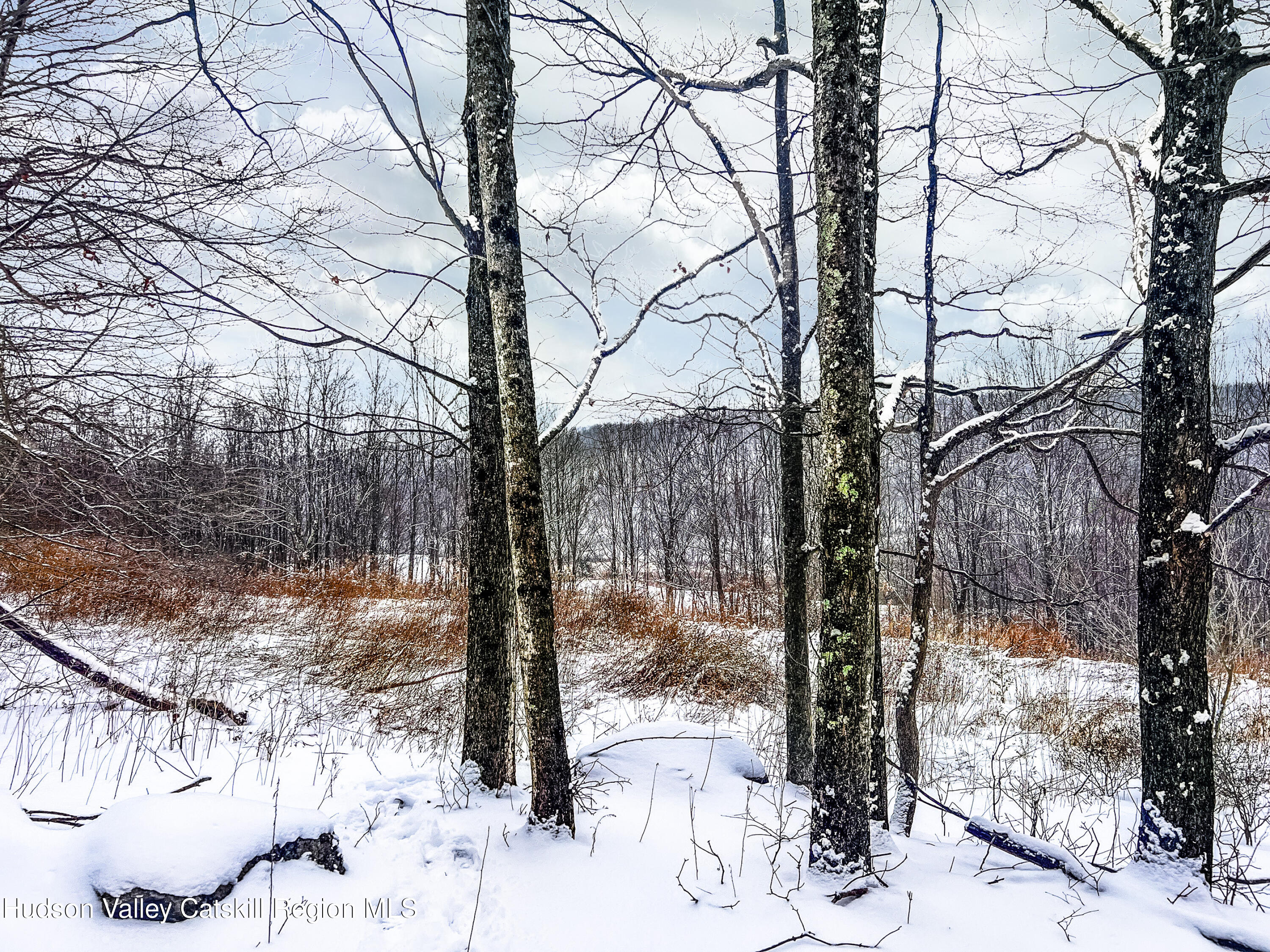 0 Betty Brook Road South Kortright, NY 13842 - Photo 12 of 30 IMG_0571-Edit-Edit-ALT