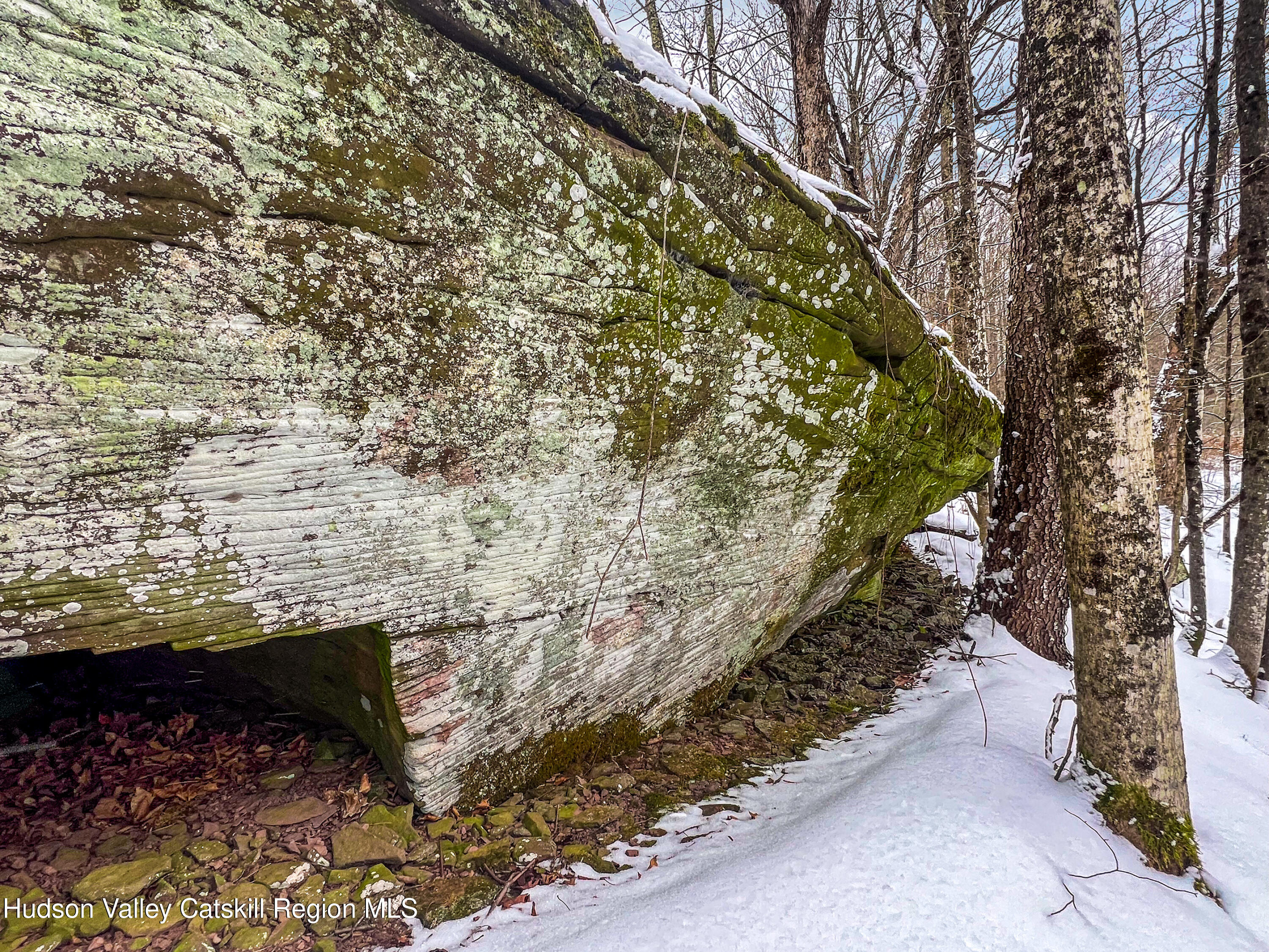 0 Betty Brook Road South Kortright, NY 13842 - Photo 13 of 30 IMG_0574-Edit-Edit
