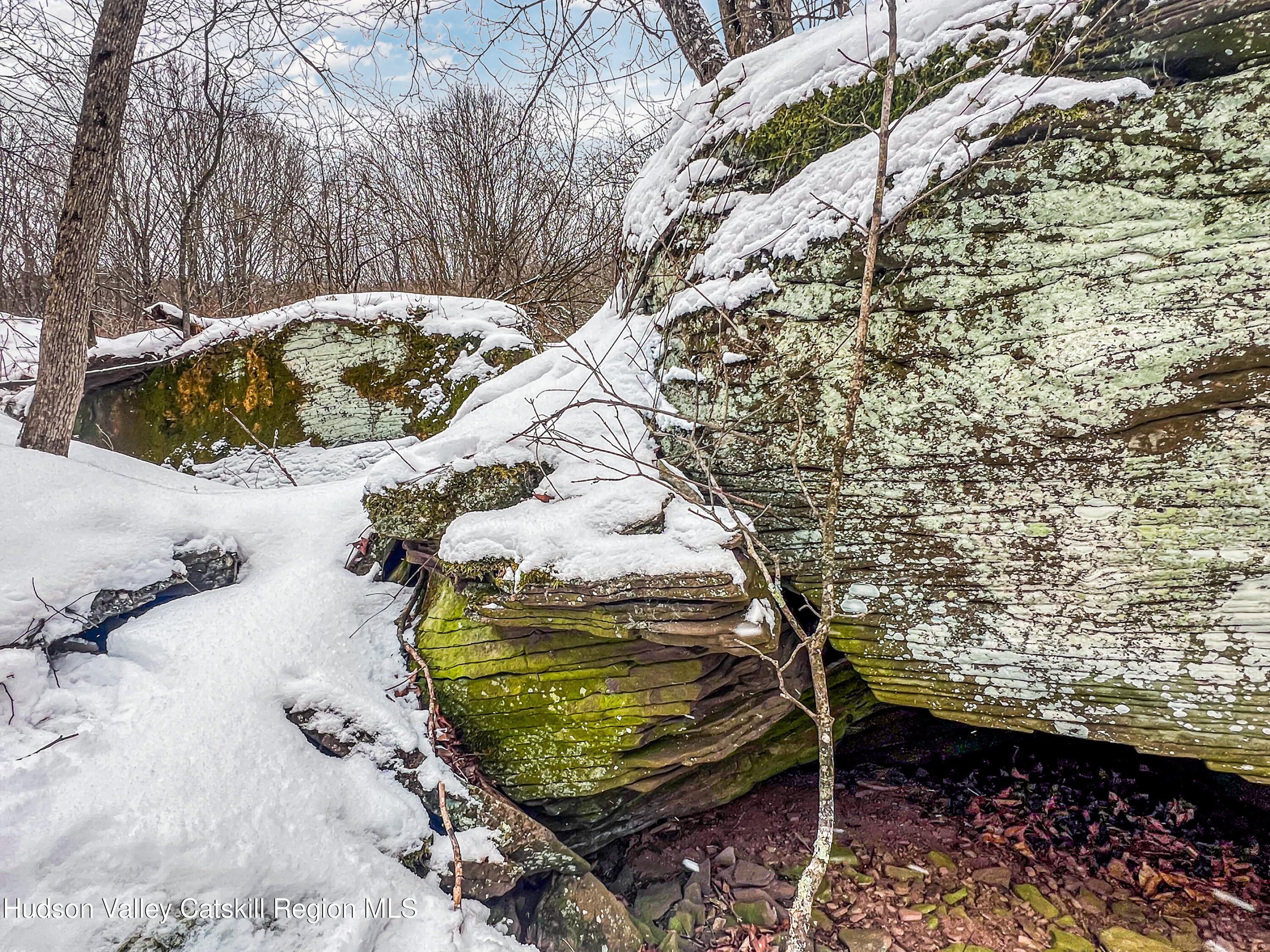 0 Betty Brook Road South Kortright, NY 13842 - Photo 14 of 30 IMG_0576-Edit