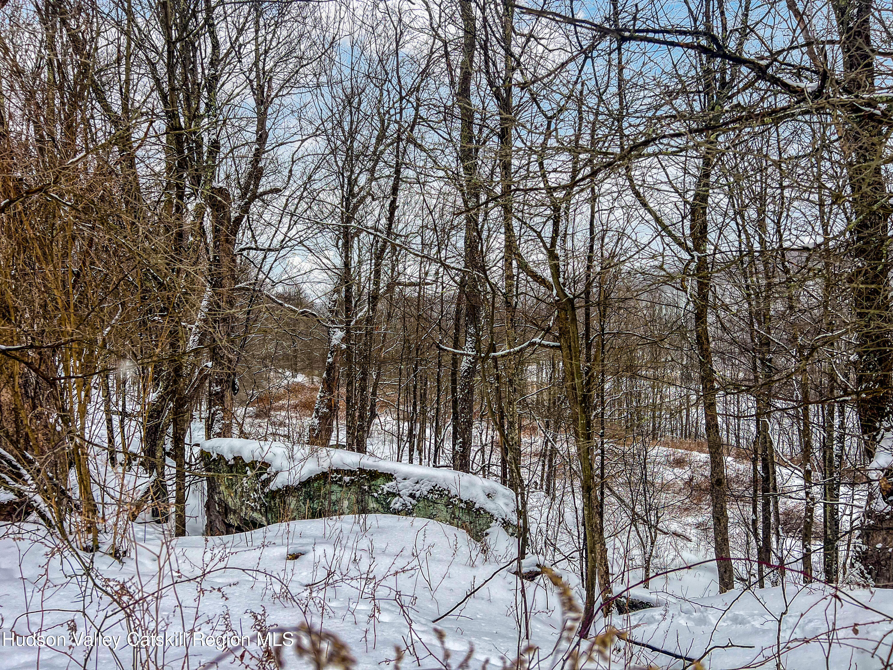 0 Betty Brook Road South Kortright, NY 13842 - Photo 16 of 30 IMG_0581-Edit