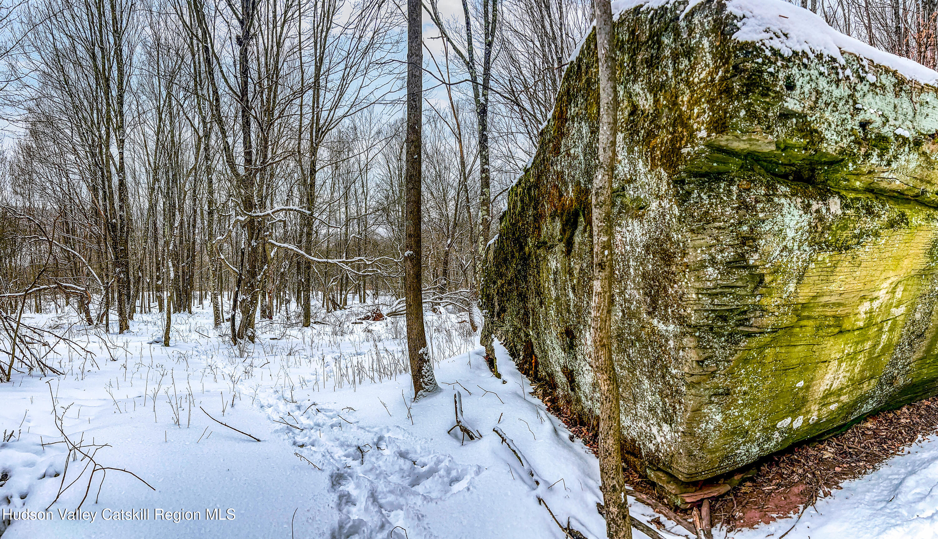 0 Betty Brook Road South Kortright, NY 13842 - Photo 18 of 30 IMG_0589-Edit-Edit