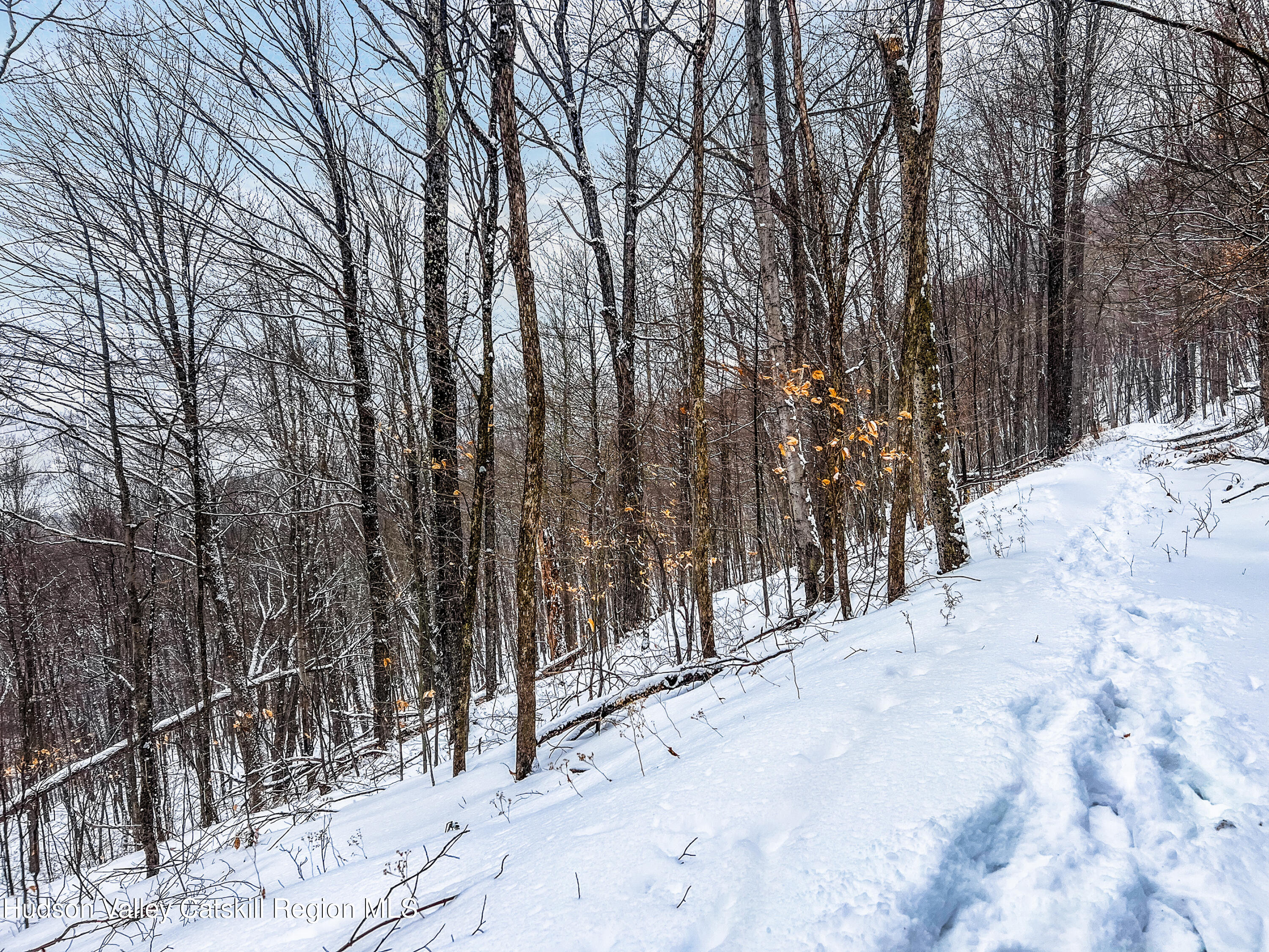 0 Betty Brook Road South Kortright, NY 13842 - Photo 20 of 30 IMG_0607-Edit-Edit