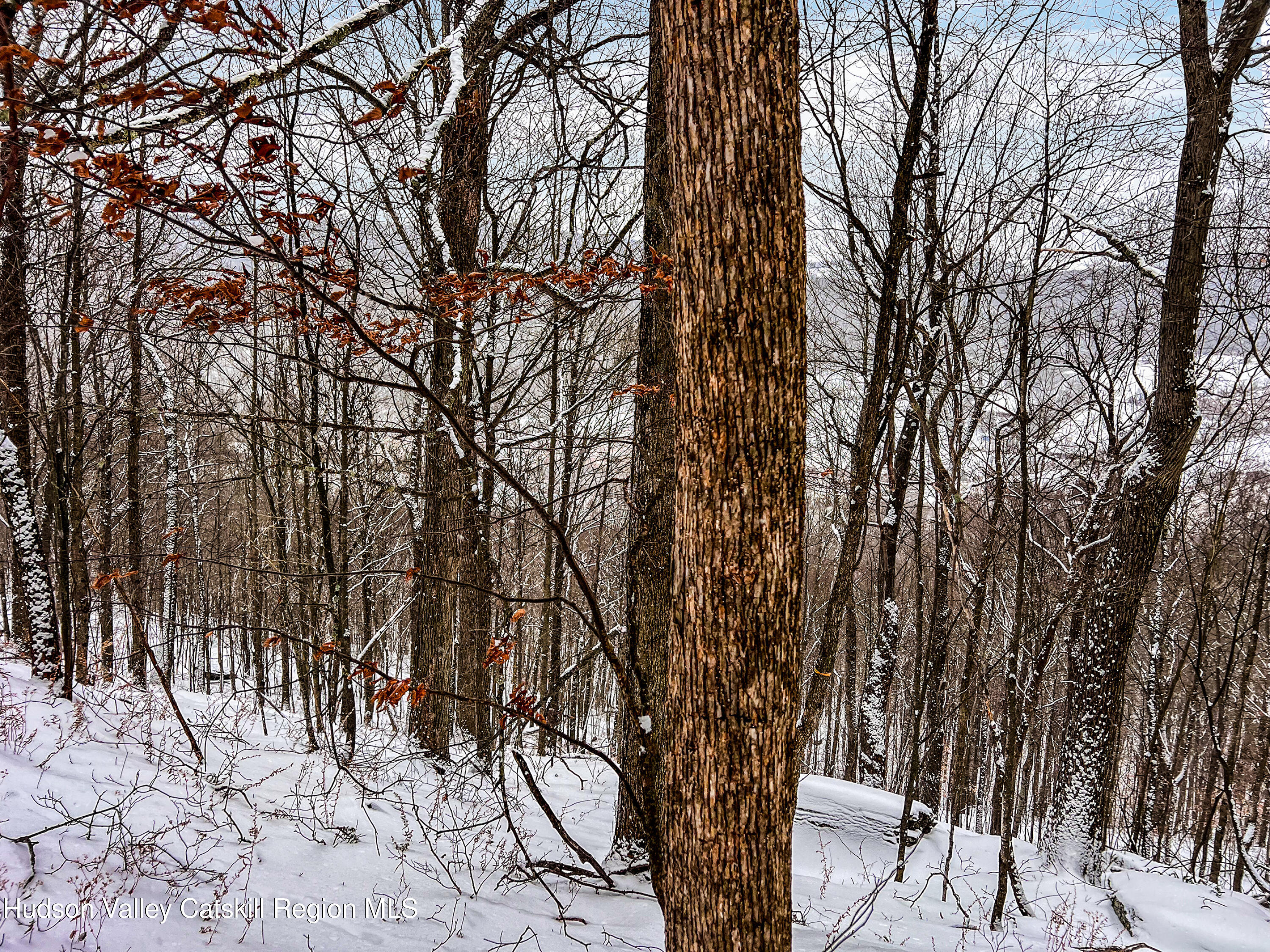 0 Betty Brook Road South Kortright, NY 13842 - Photo 21 of 30 IMG_2527-Edit-Edit