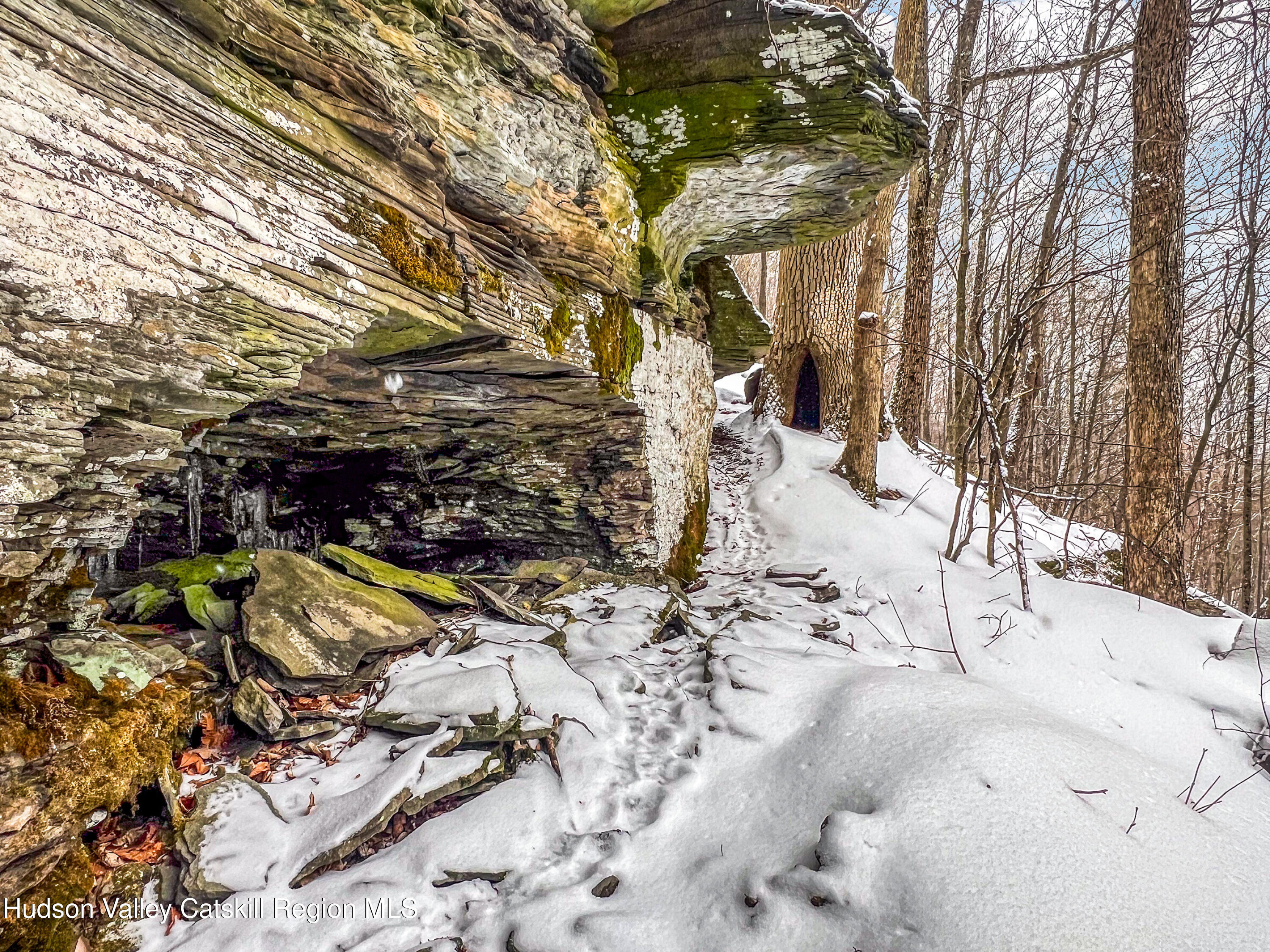0 Betty Brook Road South Kortright, NY 13842 - Photo 22 of 30 IMG_0610-Edit
