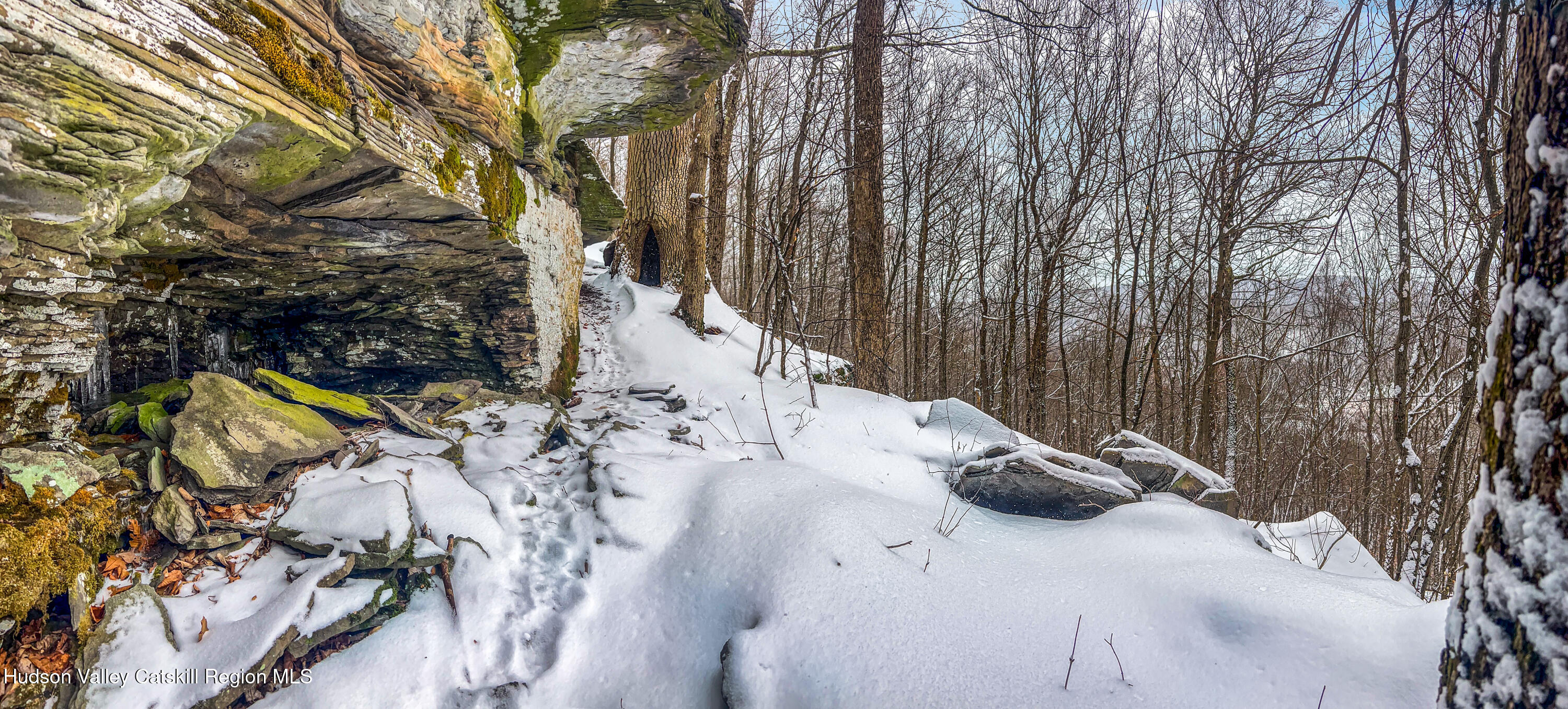 0 Betty Brook Road South Kortright, NY 13842 - Photo 23 of 30 IMG_0614-Edit-Edit