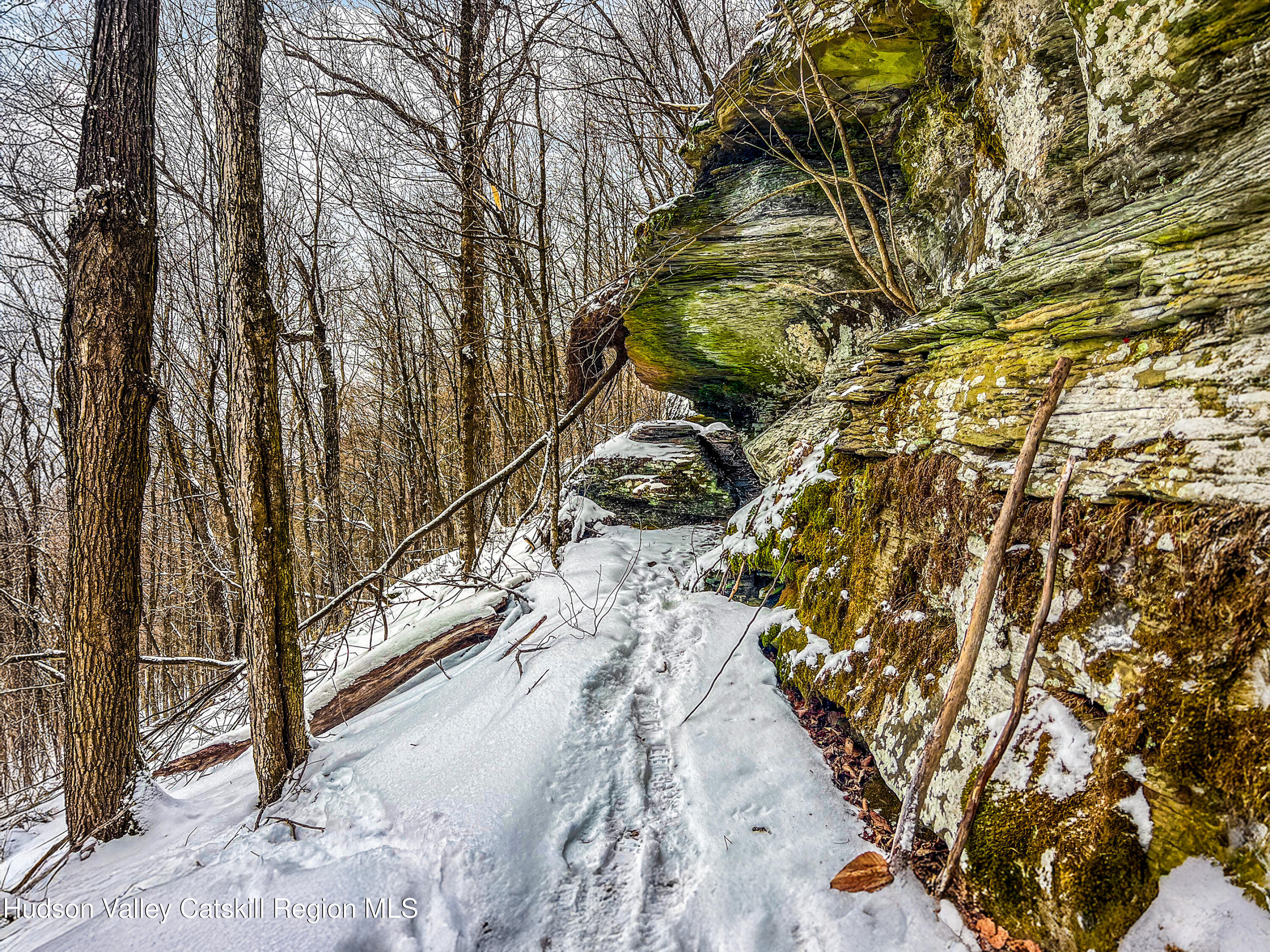 0 Betty Brook Road South Kortright, NY 13842 - Photo 24 of 30 IMG_0618-Edit-Edit