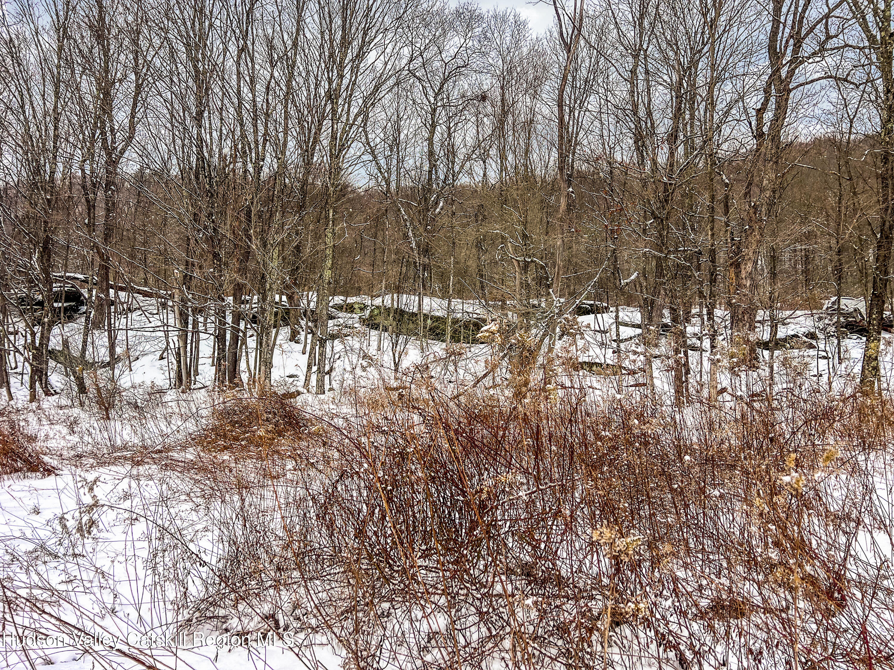 0 Betty Brook Road South Kortright, NY 13842 - Photo 26 of 30 IMG_2484-Edit-ALT-2