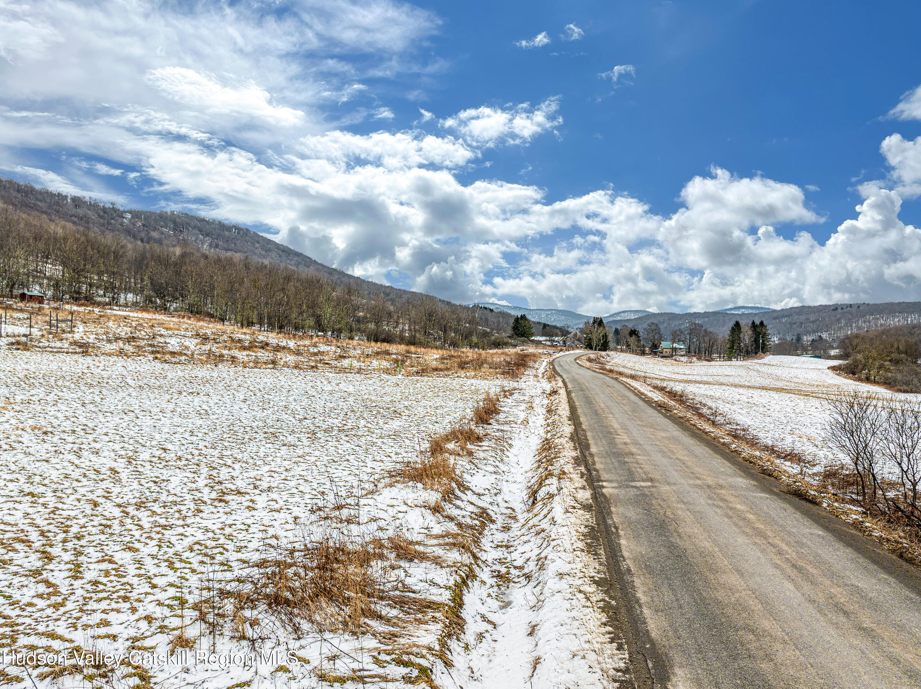 0 Betty Brook Road South Kortright, NY 13842 - Photo 29 of 30 DJI_20260113093325_0549_D-Edit-Edit