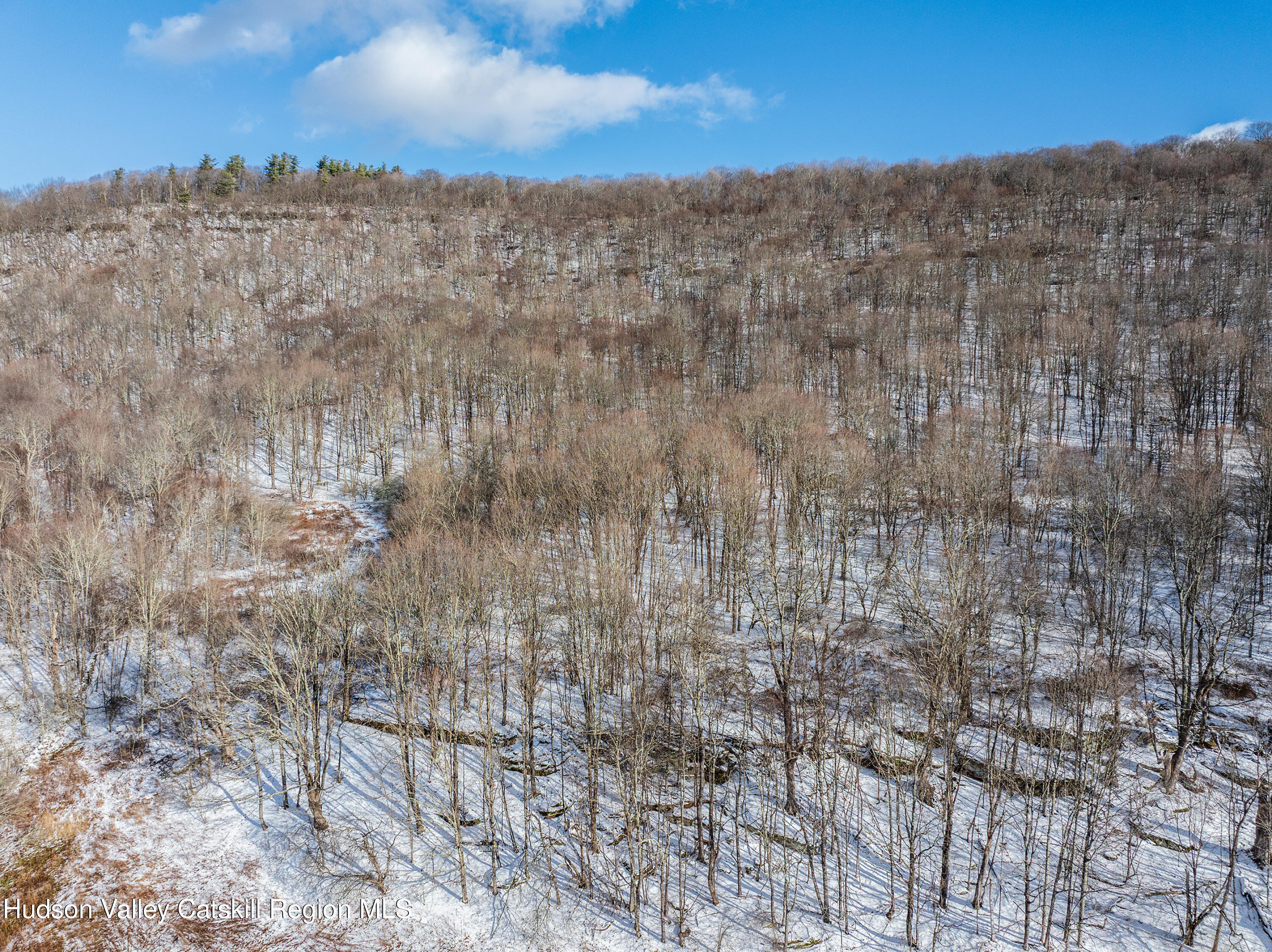 0 Betty Brook Road South Kortright, NY 13842 - Photo 4 of 30 DJI_20260112140545_0506_D-Edit