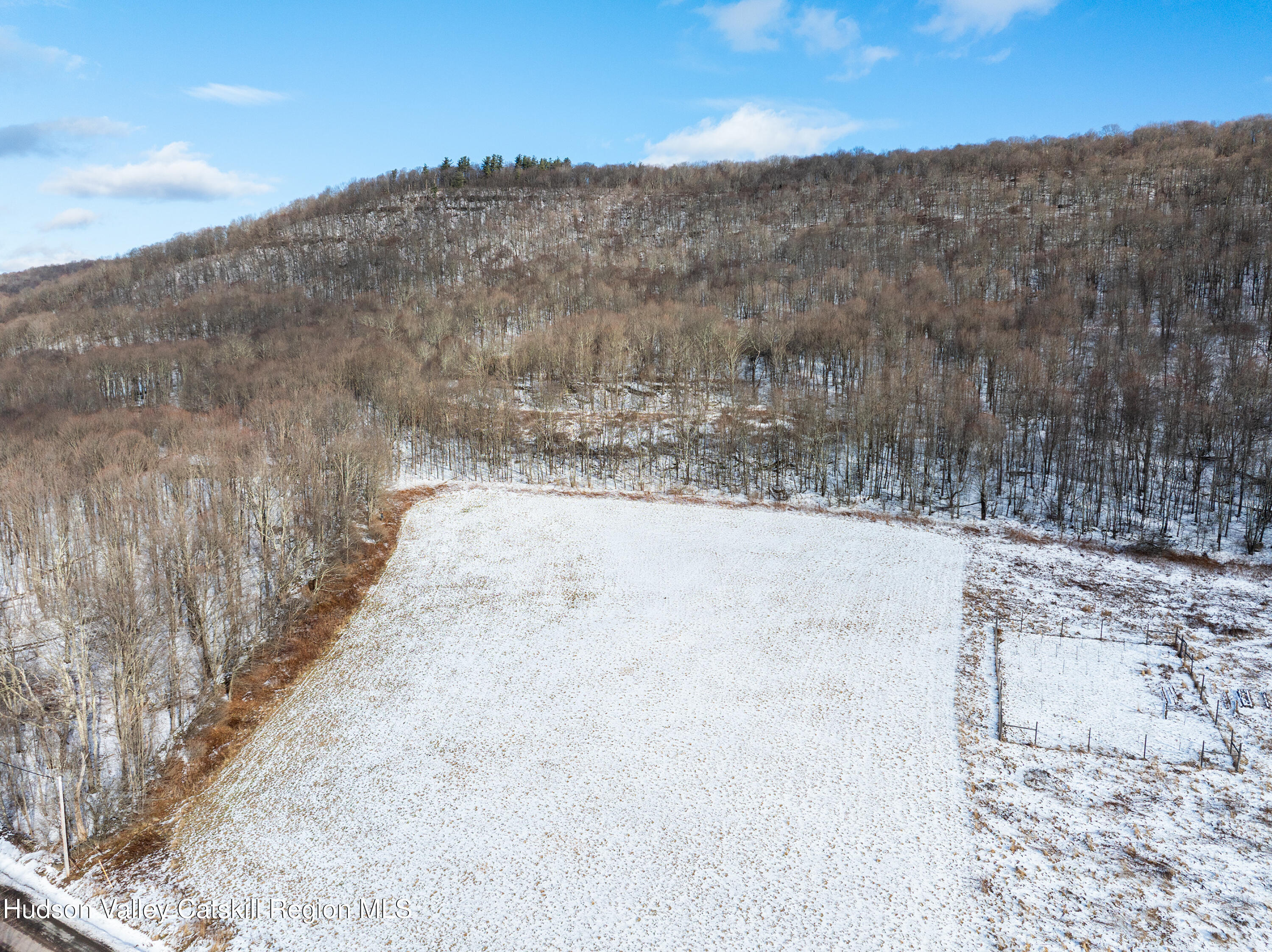 0 Betty Brook Road South Kortright, NY 13842 - Photo 5 of 30 DJI_20260112141000_0516_D