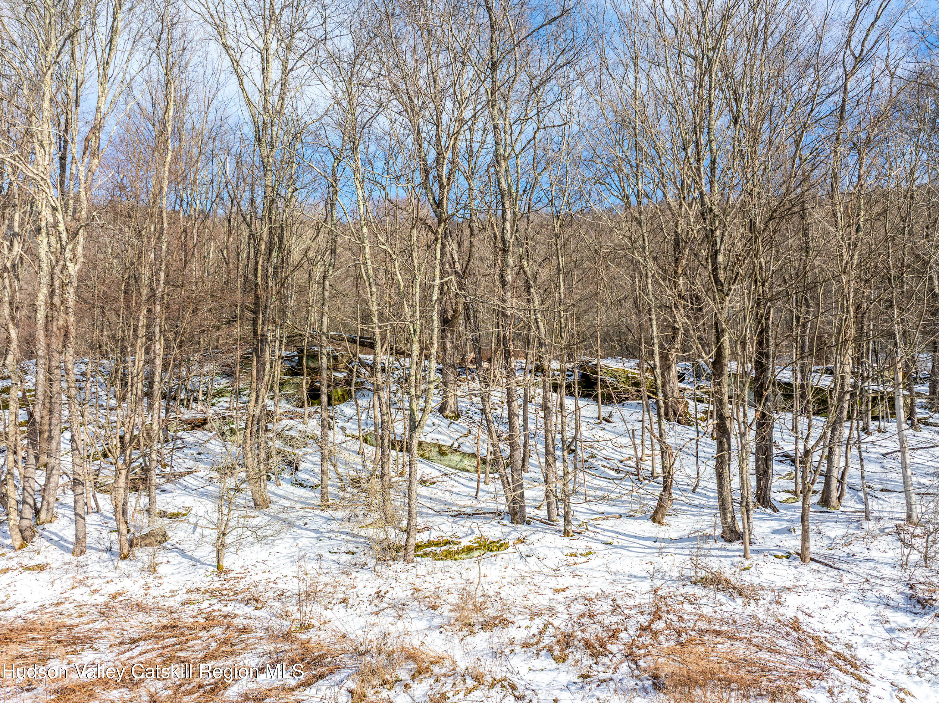 0 Betty Brook Road South Kortright, NY 13842 - Photo 6 of 30 DJI_20260112141347_0521_D-Edit