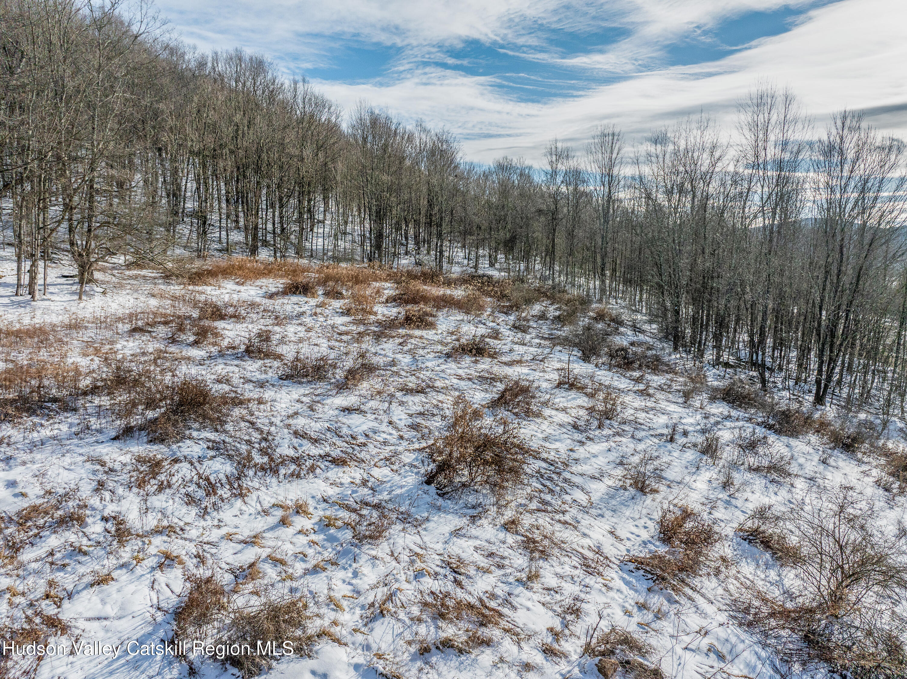 0 Betty Brook Road South Kortright, NY 13842 - Photo 7 of 30 DJI_20260112141412_0525_D-Edit