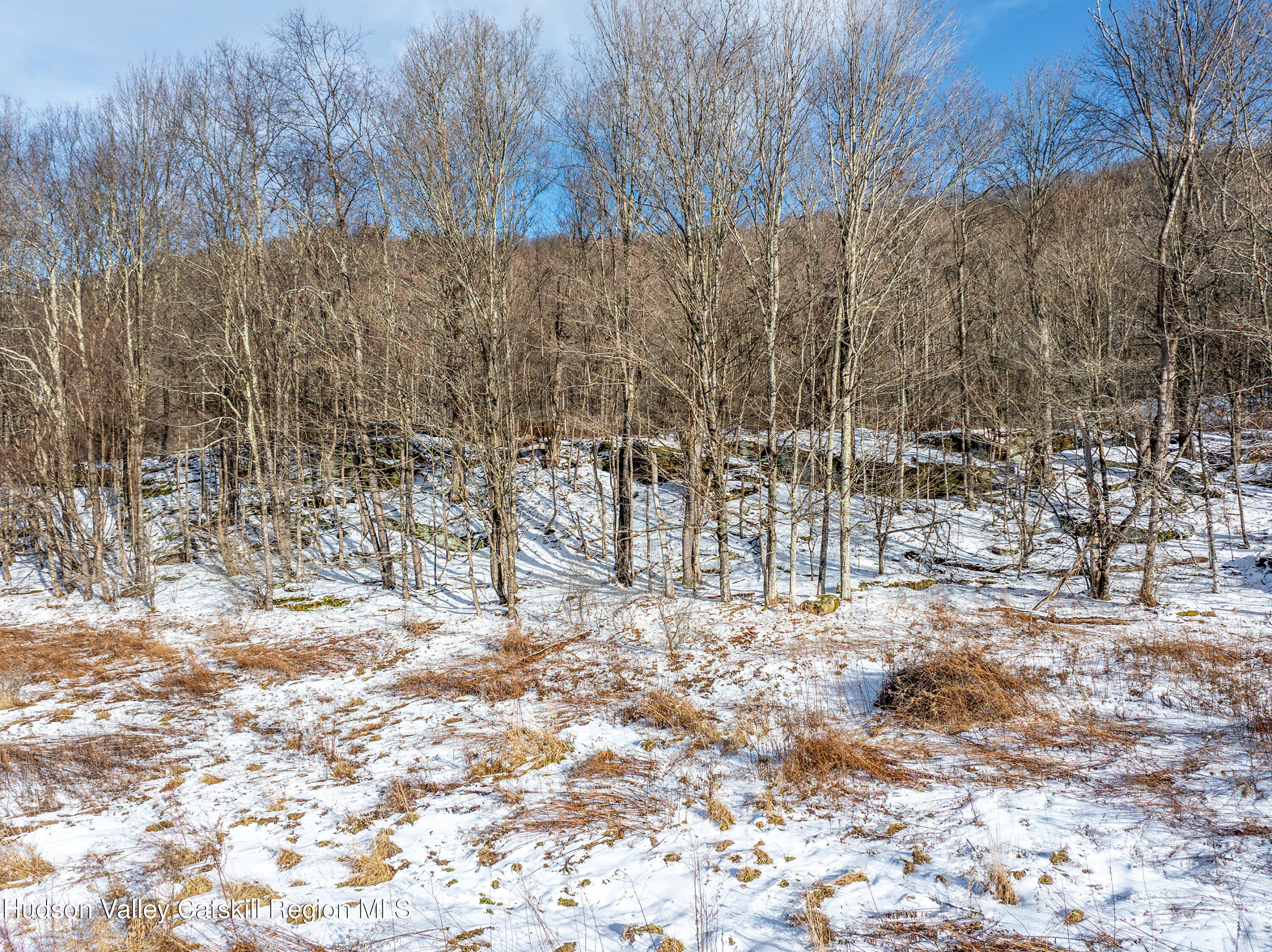 0 Betty Brook Road South Kortright, NY 13842 - Photo 8 of 30 DJI_20260112141438_0528_D-Edit