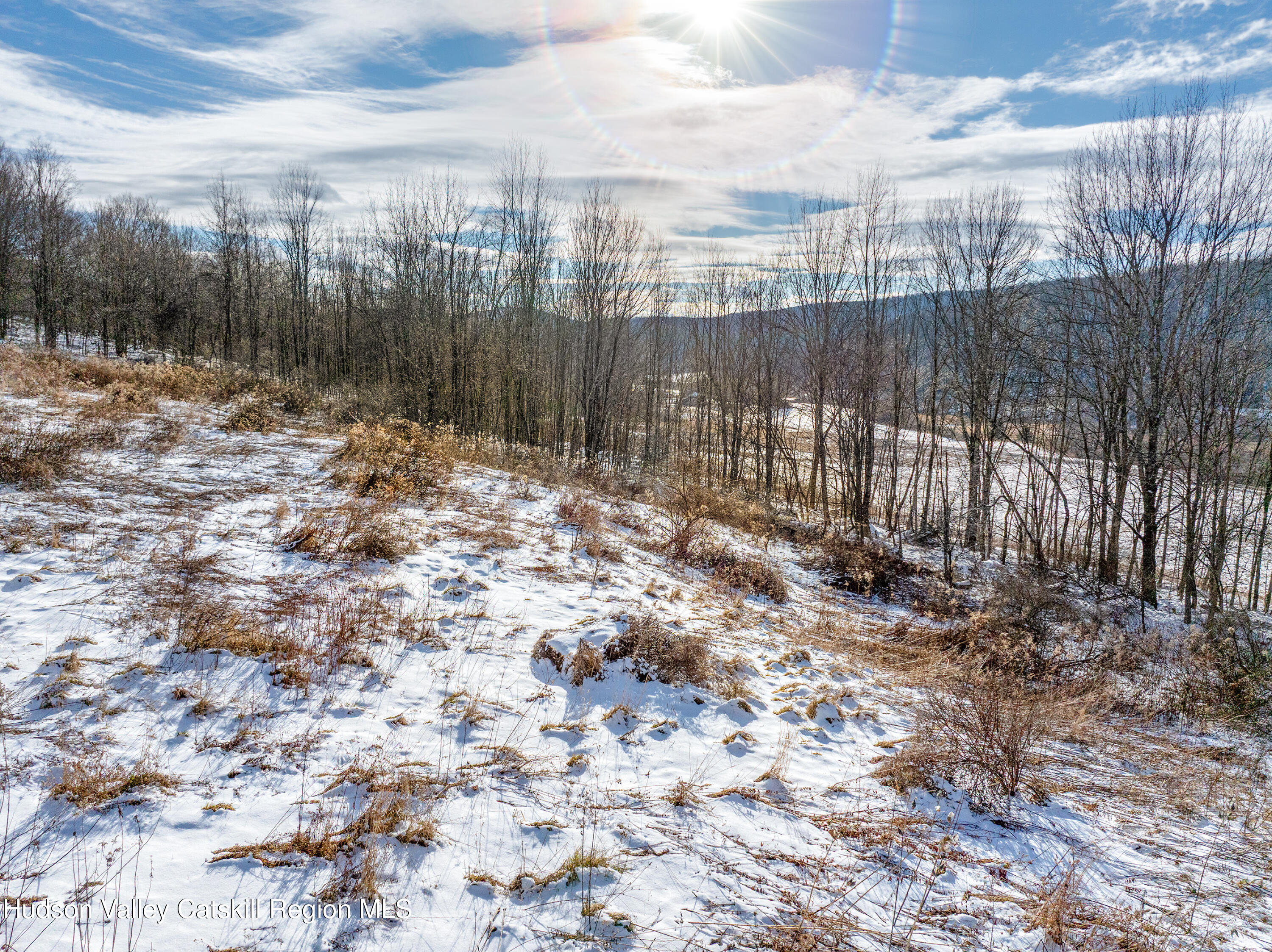 0 Betty Brook Road South Kortright, NY 13842 - Photo 9 of 30 DJI_20260112141402_0524_D-Edit-Edit