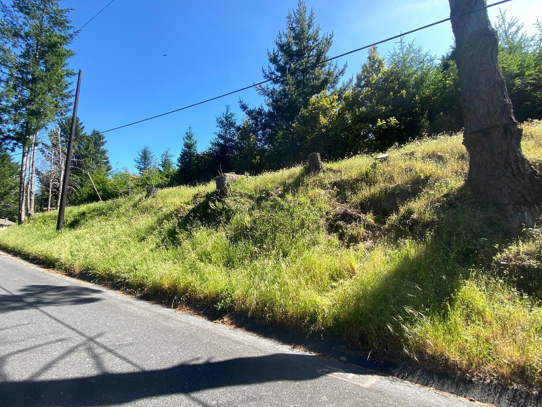 196 Ridge Road Shelter Cove, CA 95589 - Photo 8 of 9 154-71j