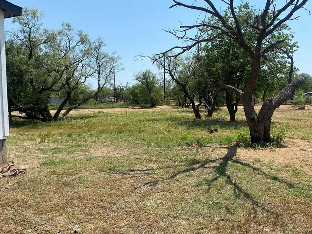 a view of a yard with a tree