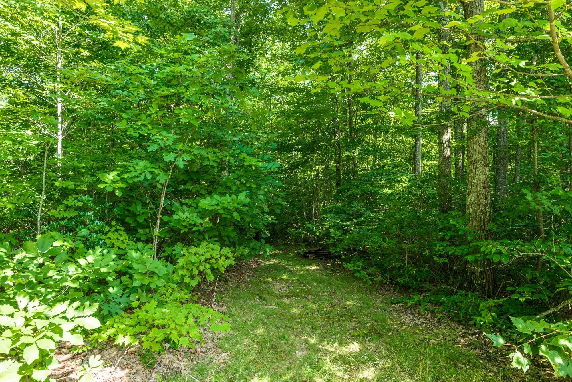 316 Sawmill Ridge Road Jamestown, TN 38556 - Photo 39 of 40 Gallery Image 39