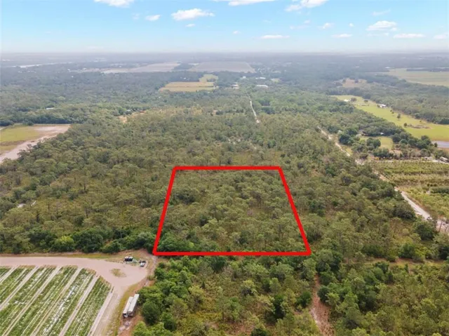 a view of a city and a large tree