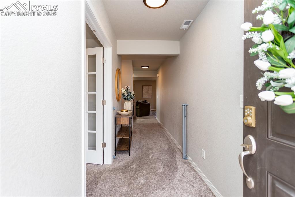 7751 Berwyn Loop Peyton, CO 80831 - Photo 9 of 50 a view of a hallway with bathroom and a potted plant