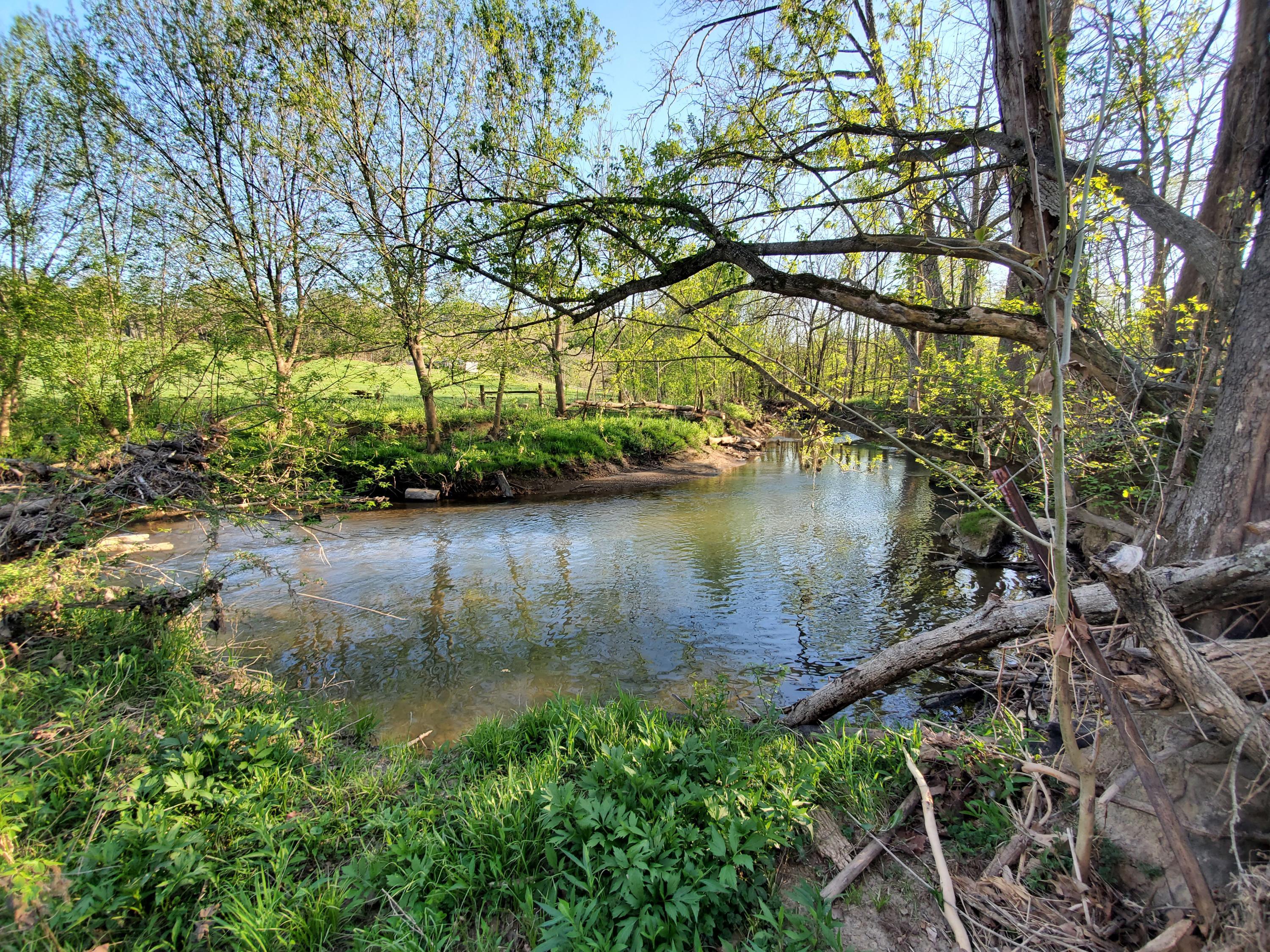 11514 Wilderness Road Ewing, VA 24248 - Photo 6 of 29 20210420_184021