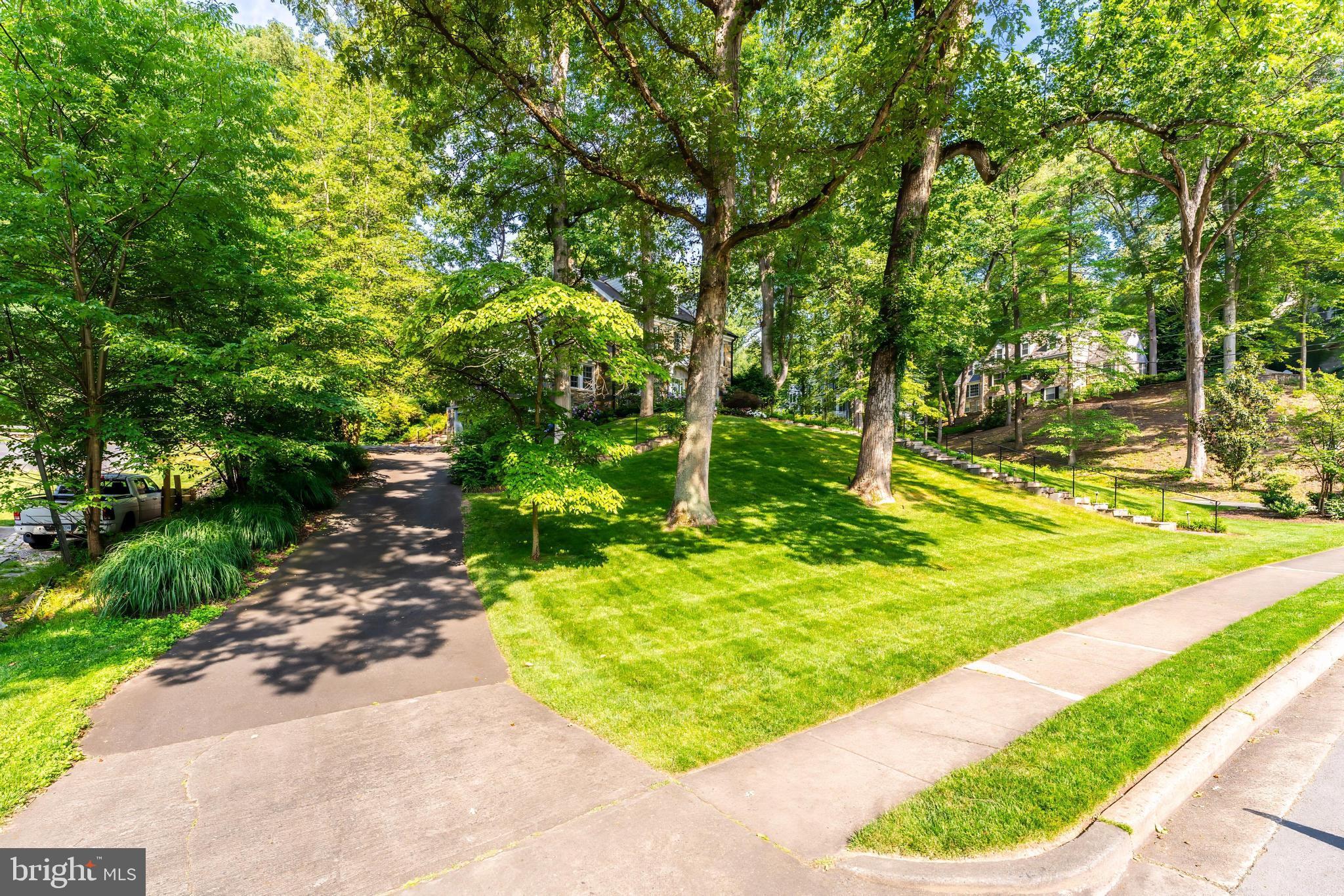 3666 Military Road Arlington, VA 22207 - Photo 56 of 69 a view of a backyard with large trees
