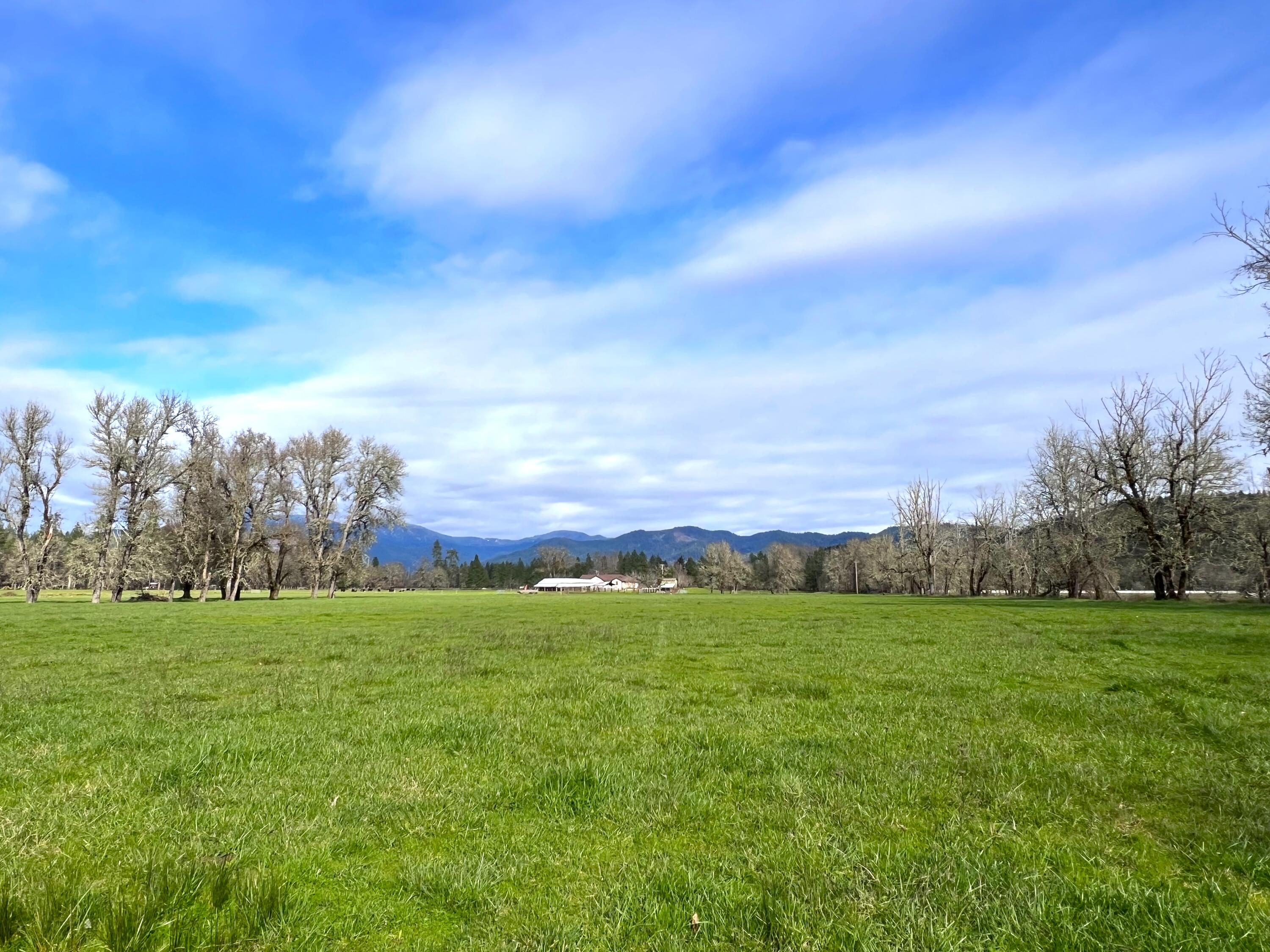 620 Dick George Road Cave Junction, OR 97523 - Photo 105 of 123 126