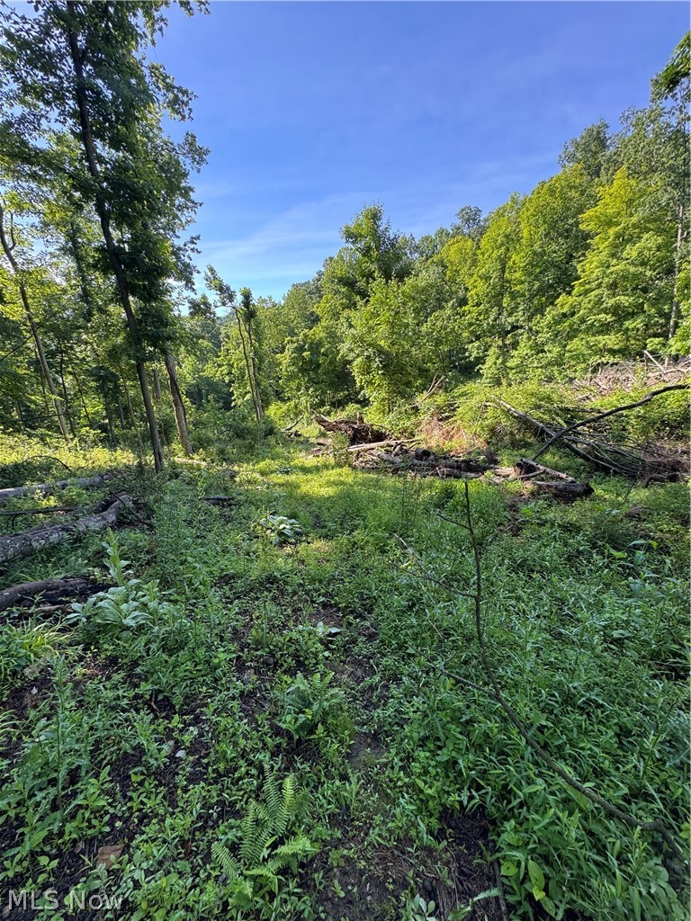 Stone Quarry Road Danville, OH 43014 - Photo 38 of 50