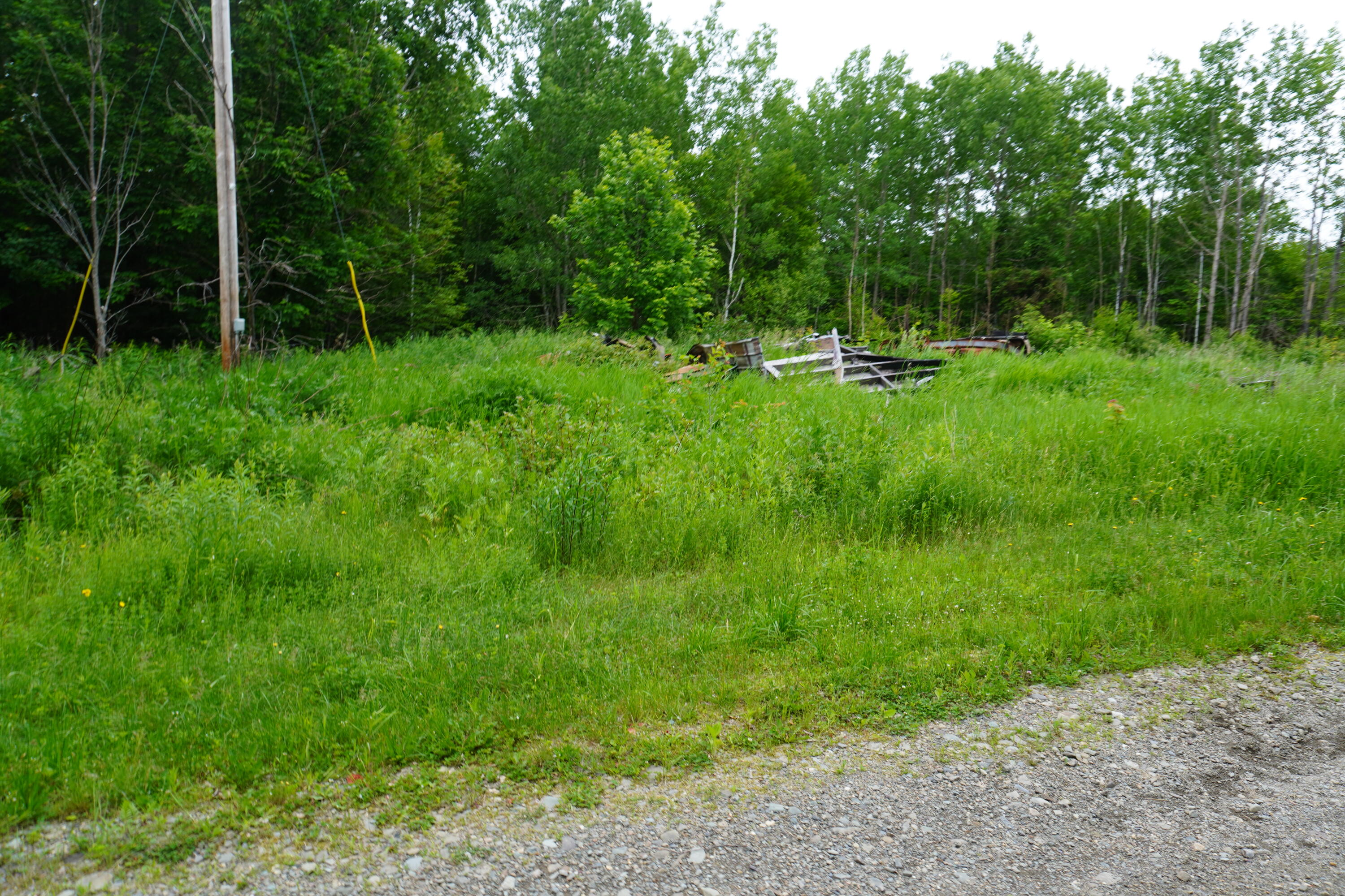 20 Mill Street Springfield, ME 04487 - Photo 7 of 8 View from Road