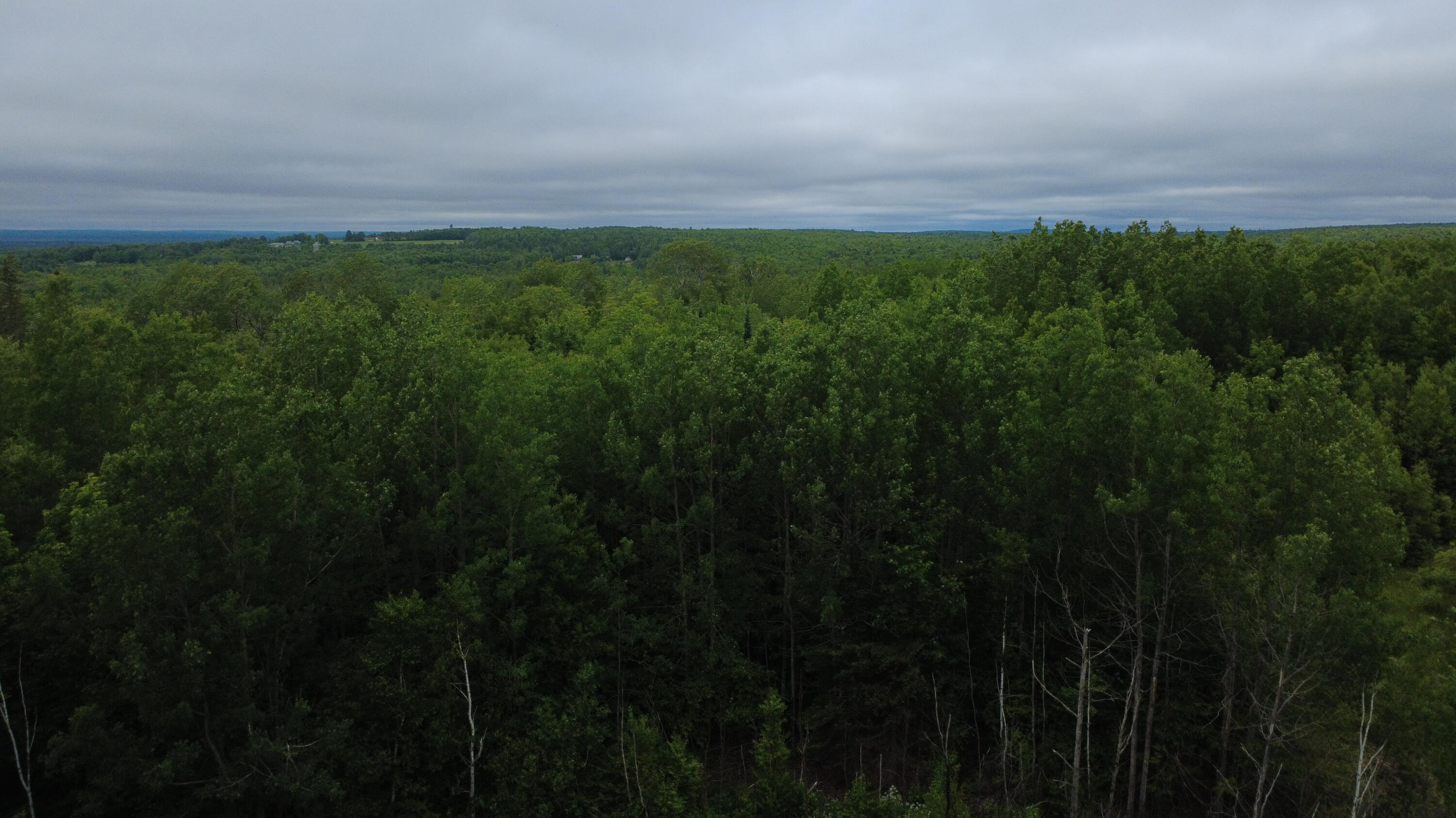 20 Mill Street Springfield, ME 04487 - Photo 8 of 8 Aerial