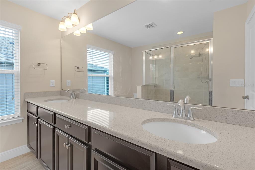 17841 Althea Blue Place Lutz, FL 33558 - Photo 19 of 38 a bathroom with a granite countertop sink a large mirror and a shower