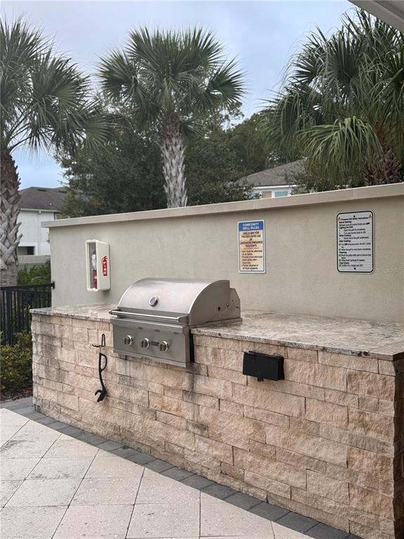 17841 Althea Blue Place Lutz, FL 33558 - Photo 36 of 38